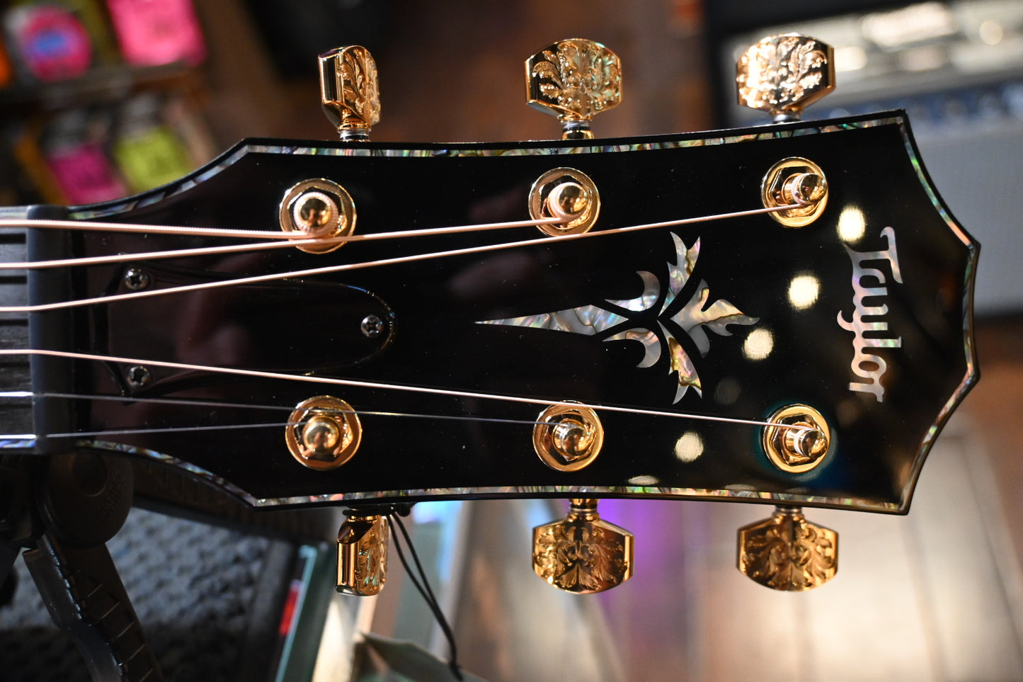 Taylor 50th Anniversary PS14ce LTD Cedar/Claro Walnut Guitar #4001 w/ Matching Circa 74 Amp. Only 16 Made!