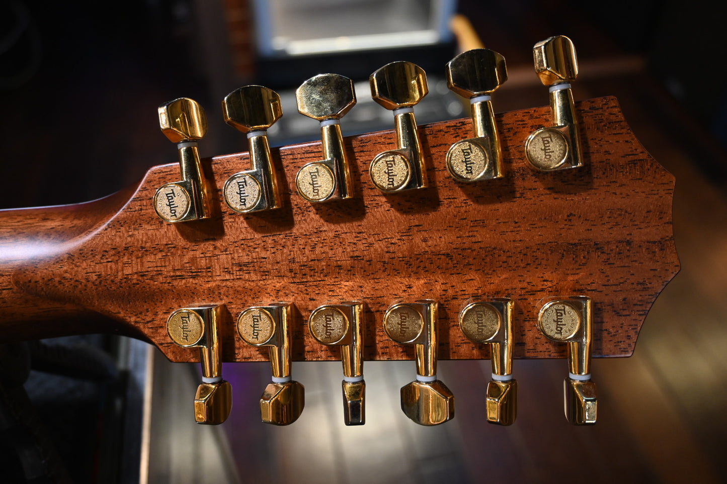 Taylor 50th Anniversary 858e LTD Guitar #4012 - Danville Music