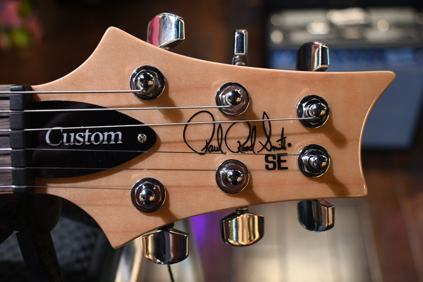 PRS SE Custom 24 Limited - Blue Fade Guitar #8980 - Danville Music