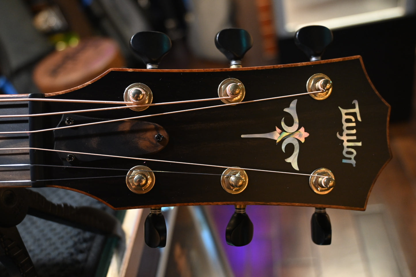 Taylor Custom GA Grand Auditorium Bearclaw Spruce/Black Limba Guitar #4125 - Danville Music