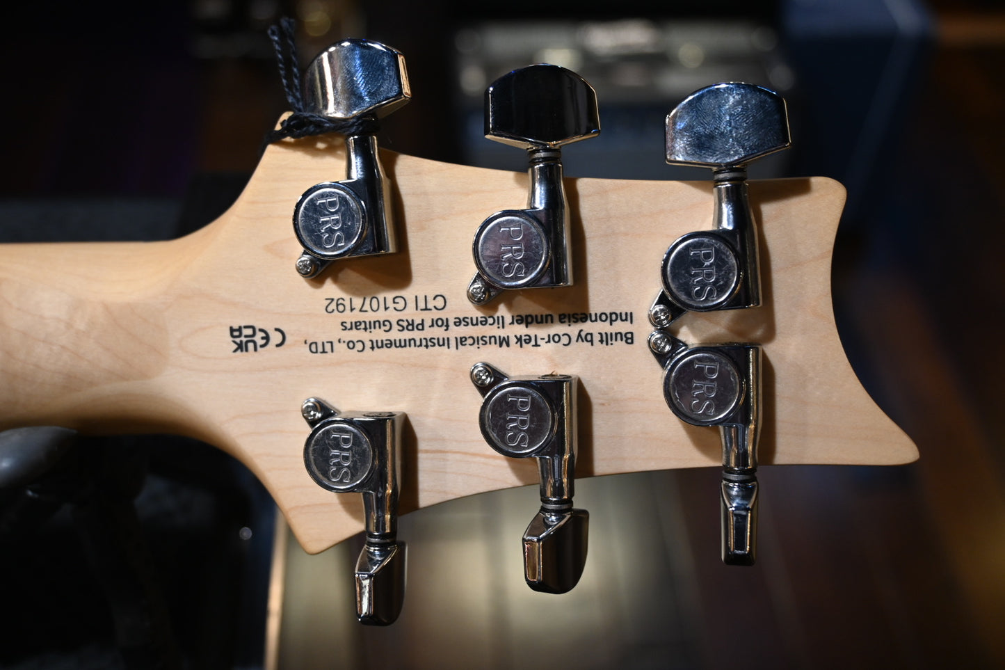 PRS SE Swamp Ash Special - Iri Blue Guitar #7192 - Danville Music