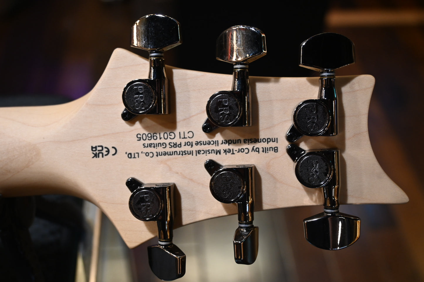 PRS SE Sandblasted CE 24 LTD - Sandblasted Green Guitar #9605 - Danville Music