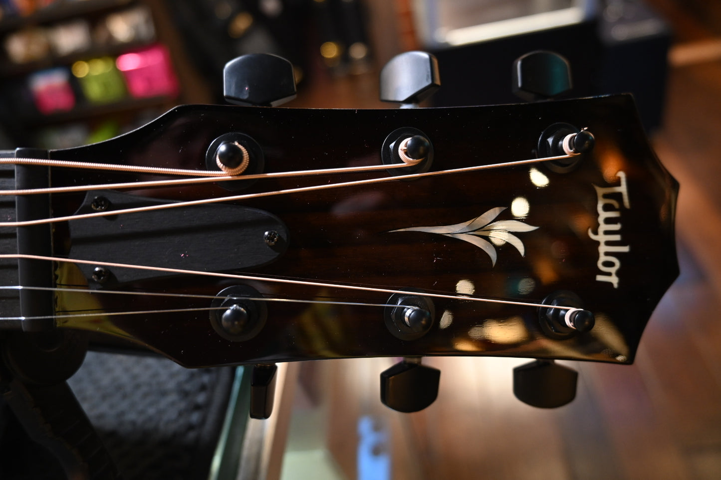 Taylor Custom GC Grand Concert Walnut/Rosewood Catch #25 w/ Macassar Ebony Circa 74 Amp #3124 - Danville Music