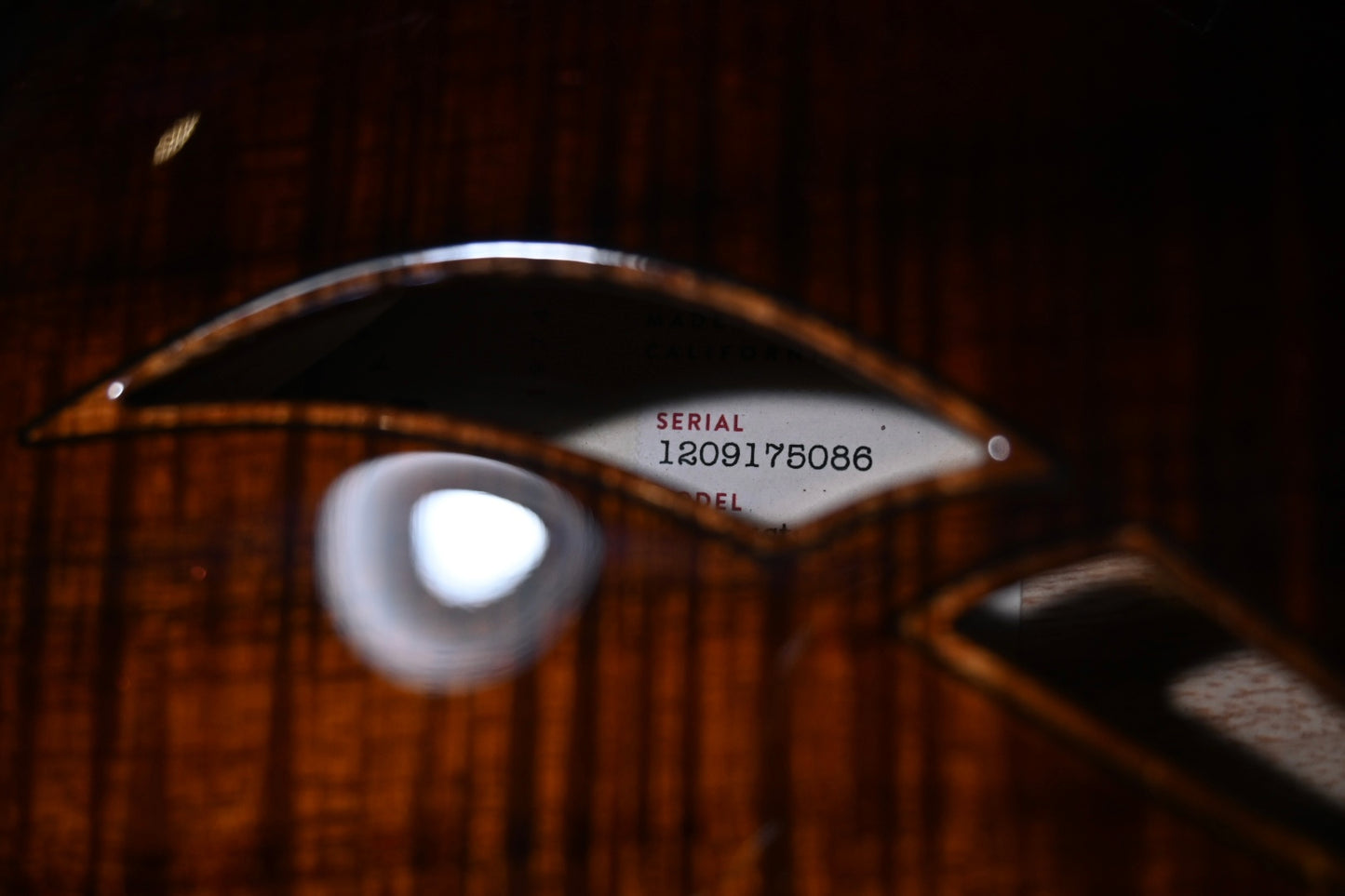 Taylor T5z Custom Koa AA Guitar #5086