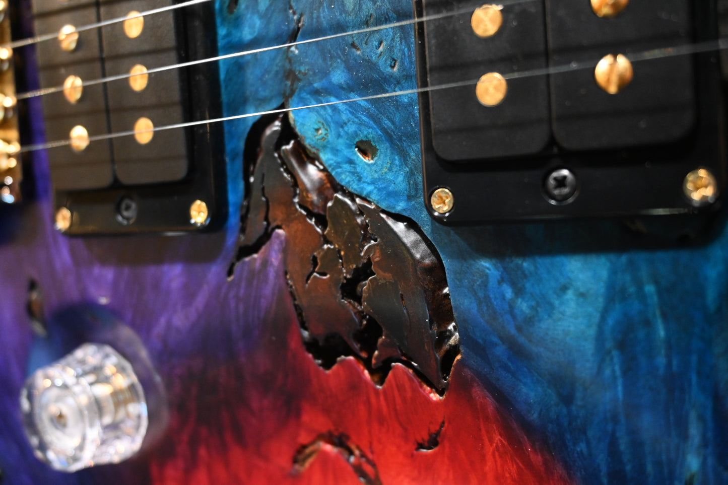 PRS Private Stock Custom 24 Buckeye Burl - Multi-Color Guitar #10499 - Danville Music