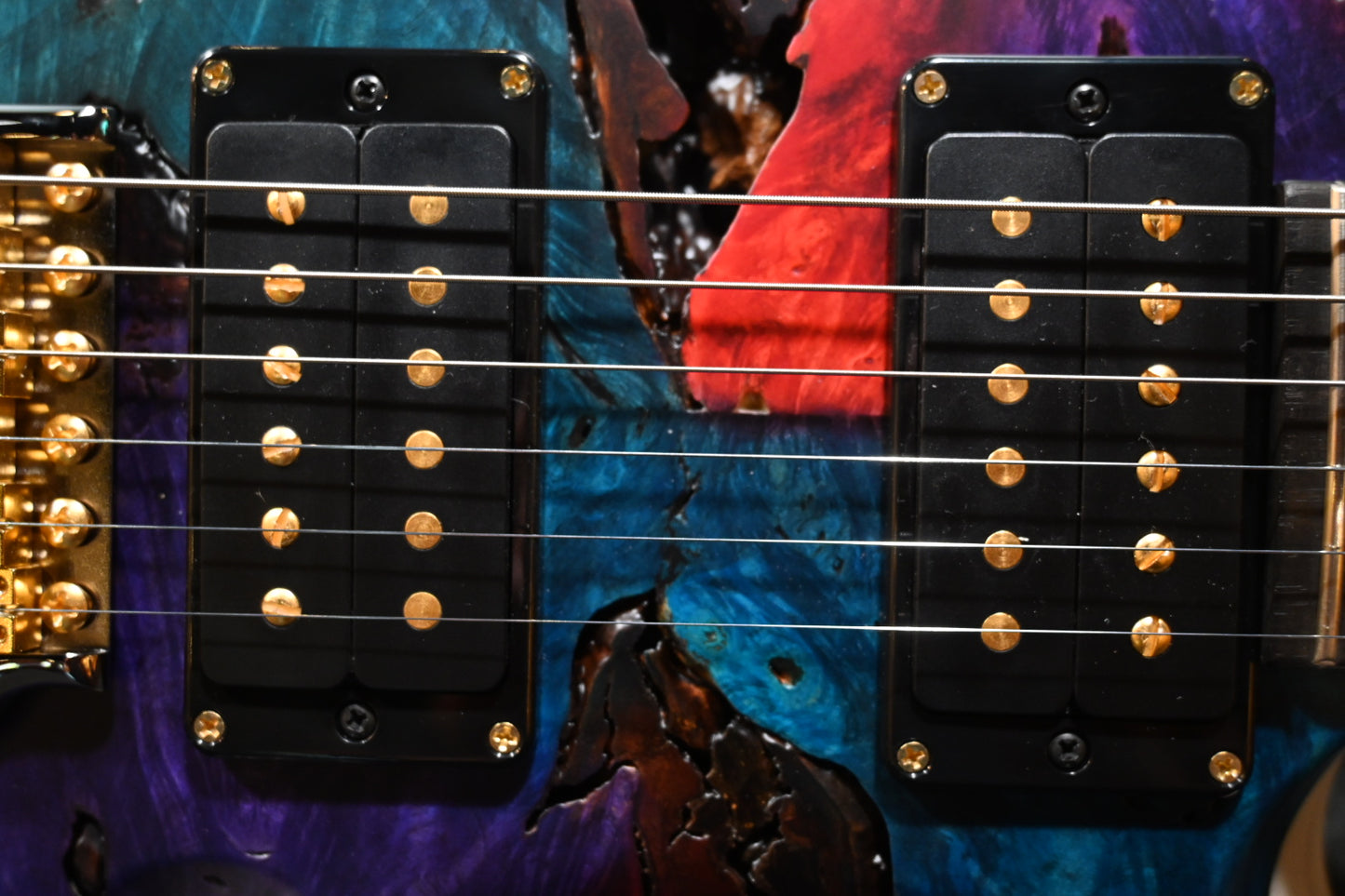 PRS Private Stock Custom 24 Buckeye Burl - Multi-Color Guitar #10499 - Danville Music