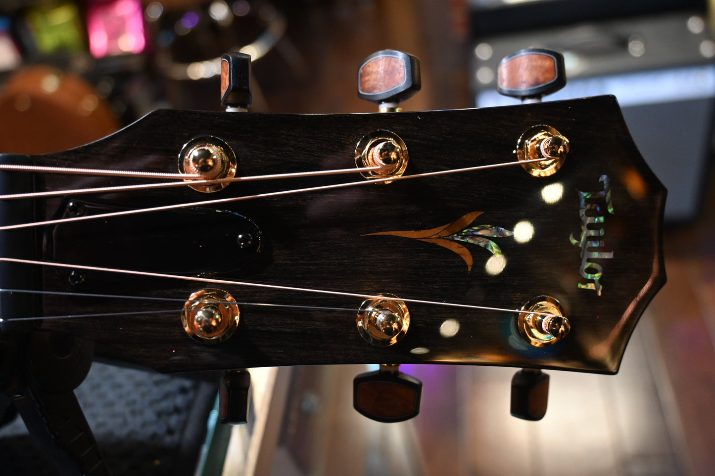 Taylor Custom GA Grand Auditorium Catch #27 Bearclaw Spruce/Bocote Guitar #4124 - Danville Music