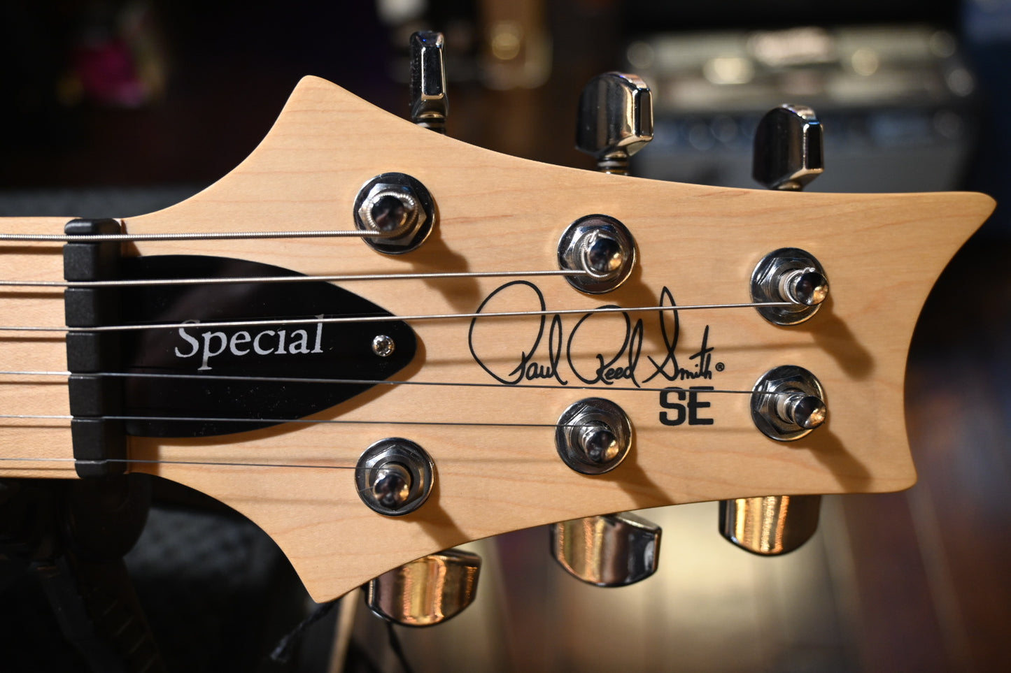 PRS SE Swamp Ash Special - Iri Blue Guitar #7192 - Danville Music