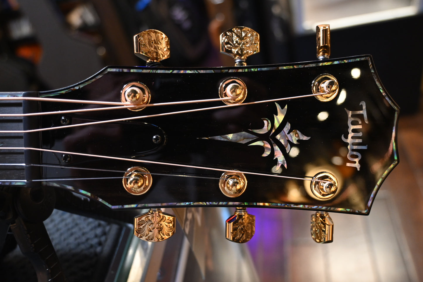Taylor 50th Anniversary Presentation PS24ce LTD Master Grade Koa w/ Circa 74 Koa Guitar and Amp - Danville Music