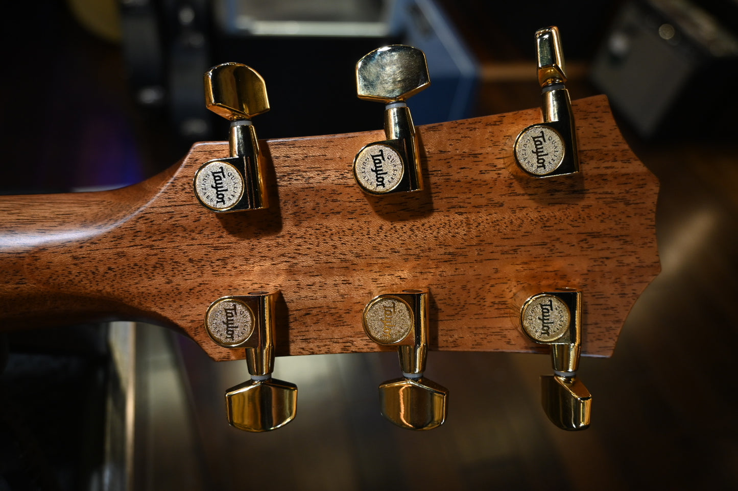 Taylor Legacy 514ce Guitar #5049 - Danville Music