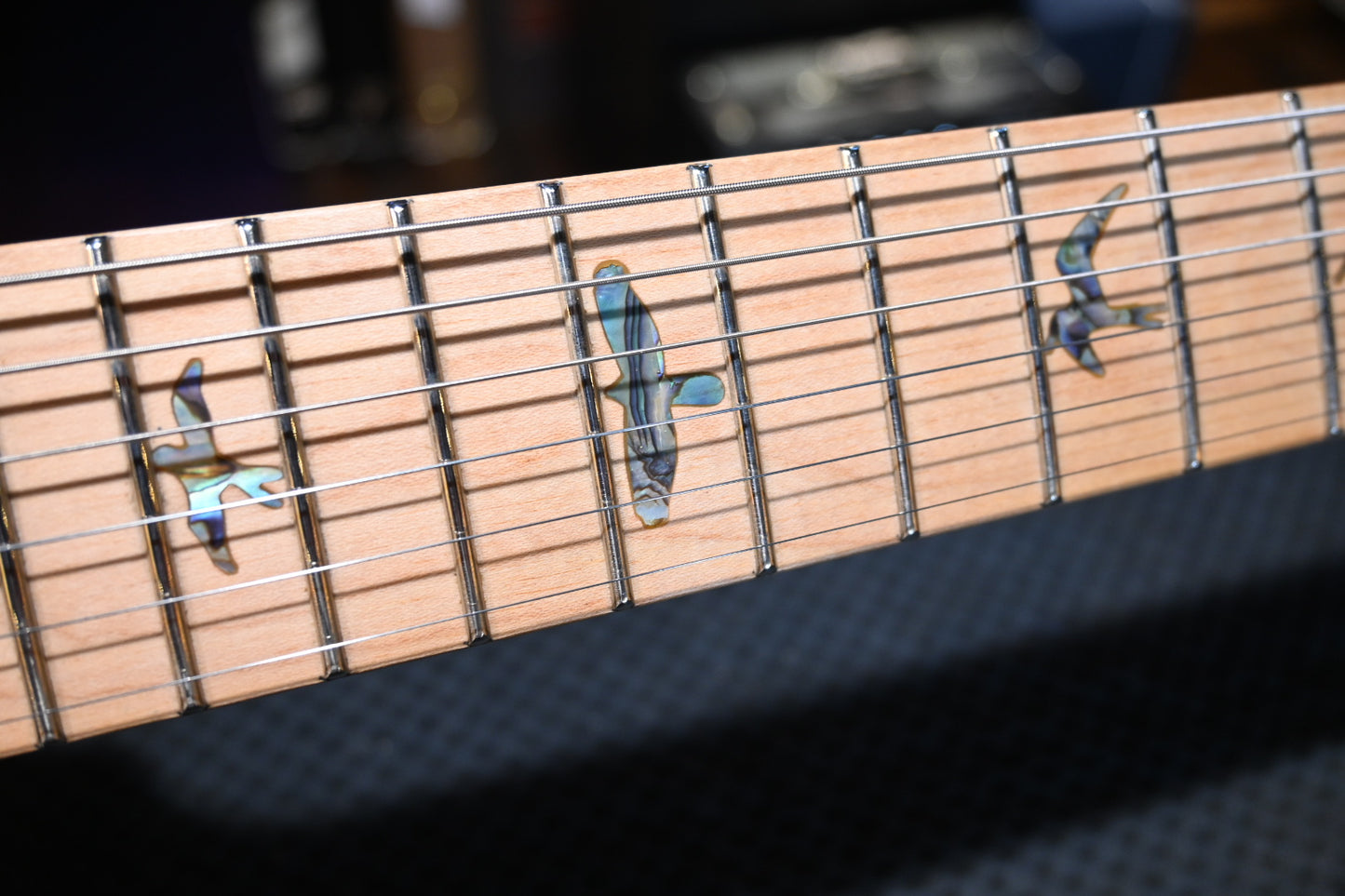 PRS SE Swamp Ash Special - Iri Blue Guitar #7884 - Danville Music