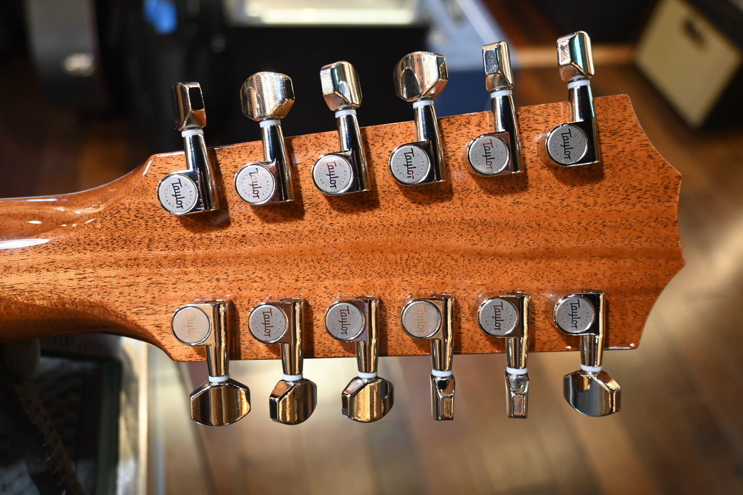 Taylor Legacy 855e 12-Fret Guitar #5033 - Danville Music