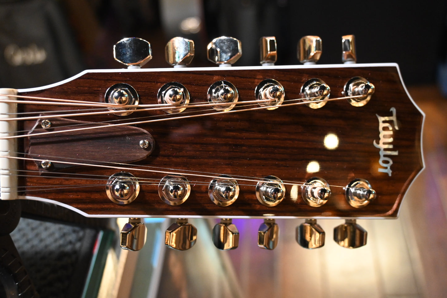 Taylor Legacy 855e 12-Fret Guitar #5033 - Danville Music