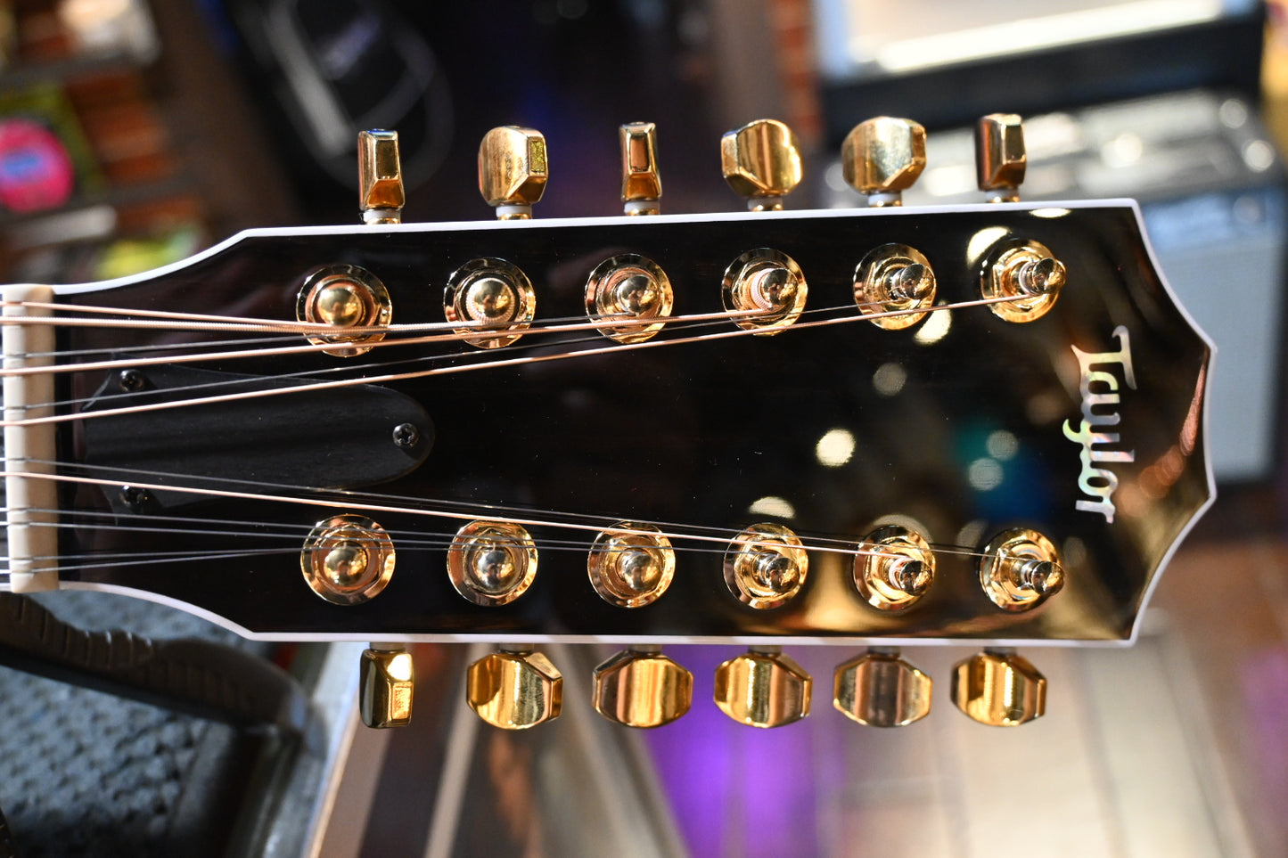 Taylor 50th Anniversary 858e LTD Guitar #4012 - Danville Music