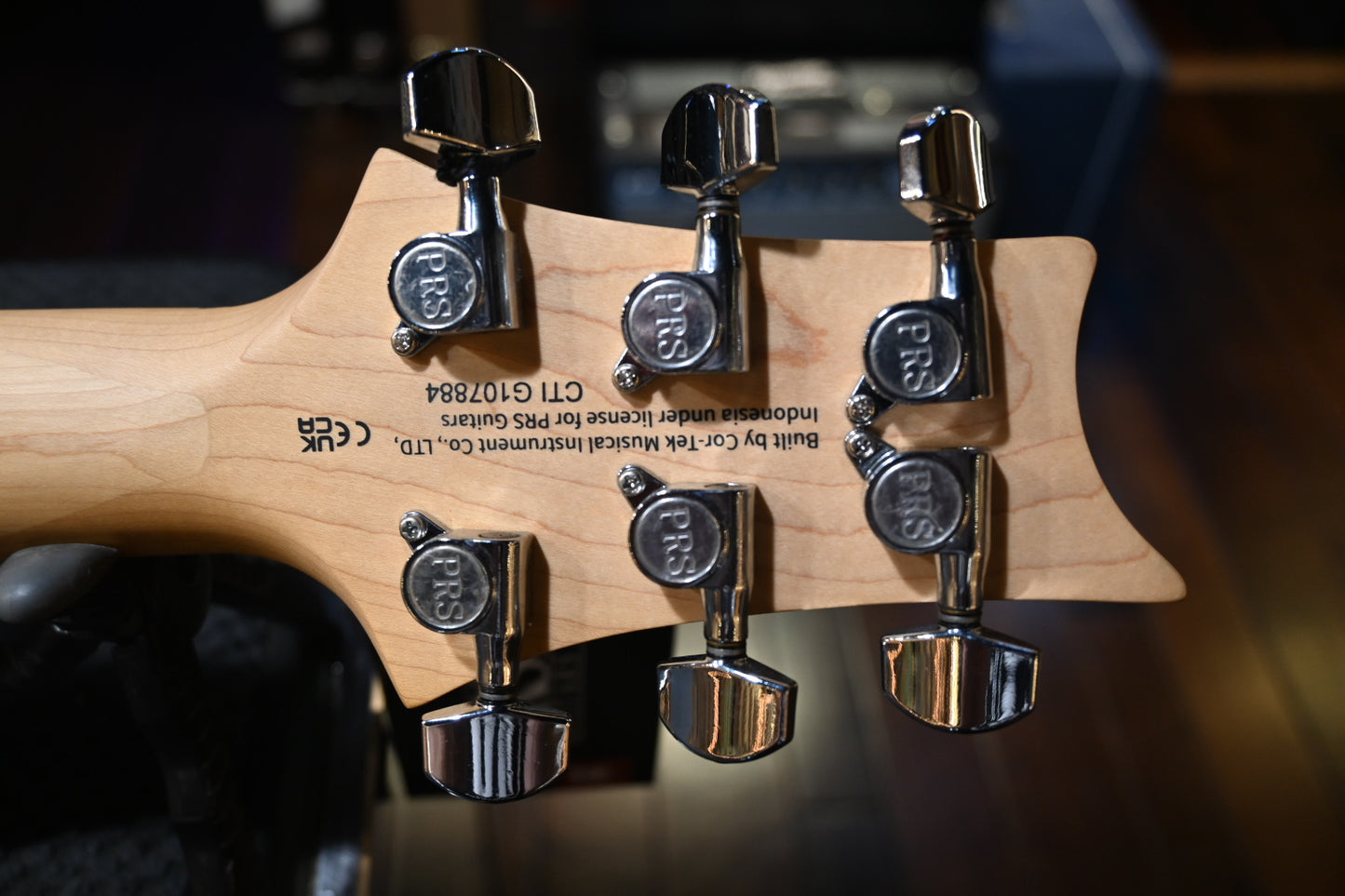 PRS SE Swamp Ash Special - Iri Blue Guitar #7884 - Danville Music