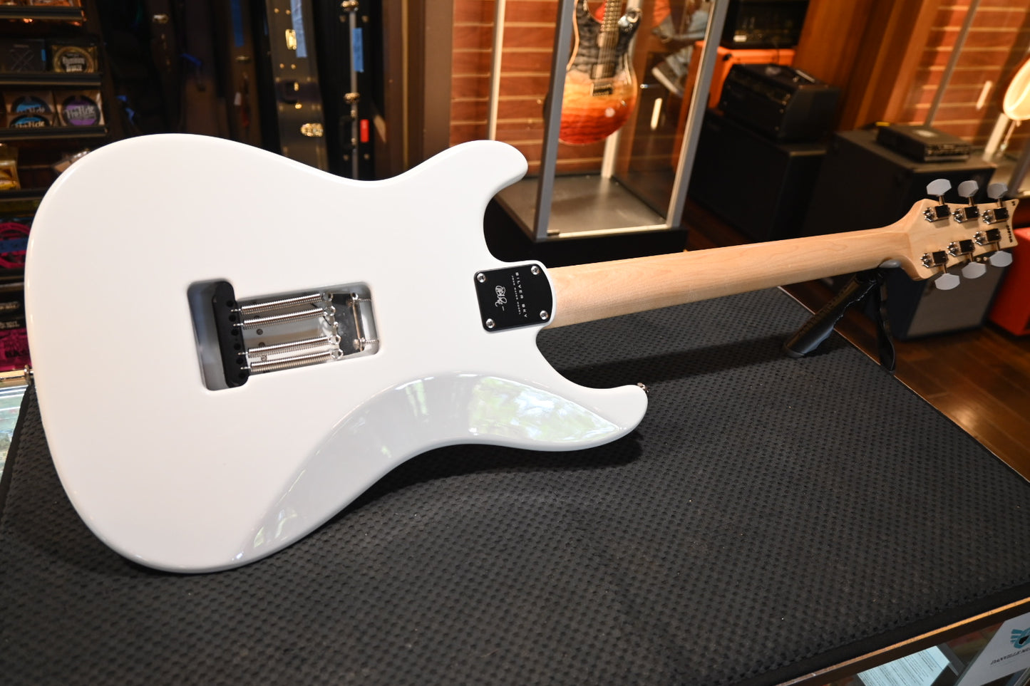 PRS Silver Sky - Frost Guitar #7616 - Danville Music