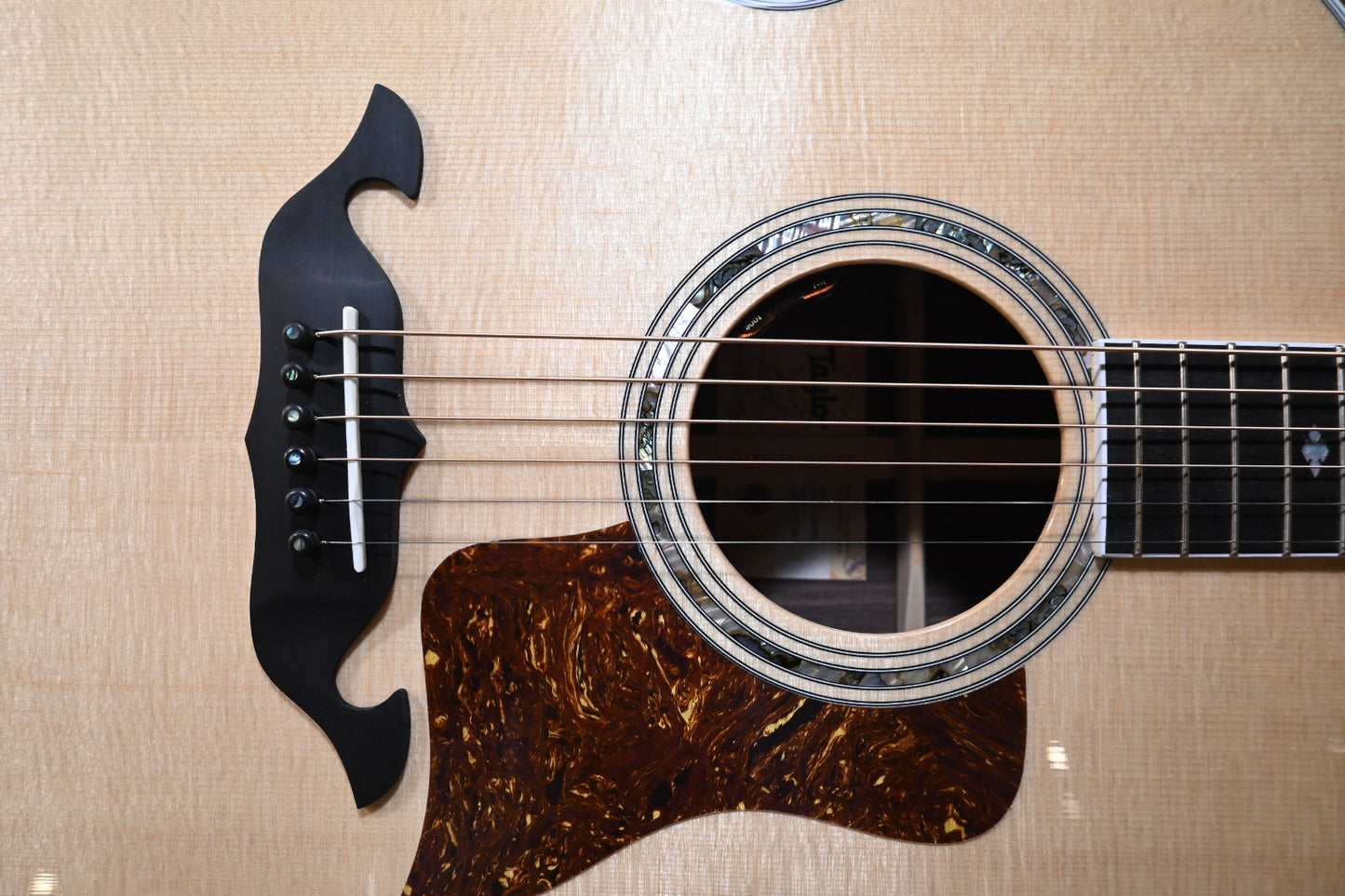 Taylor Legacy 815e - Natural Guitar #4098 - Danville Music