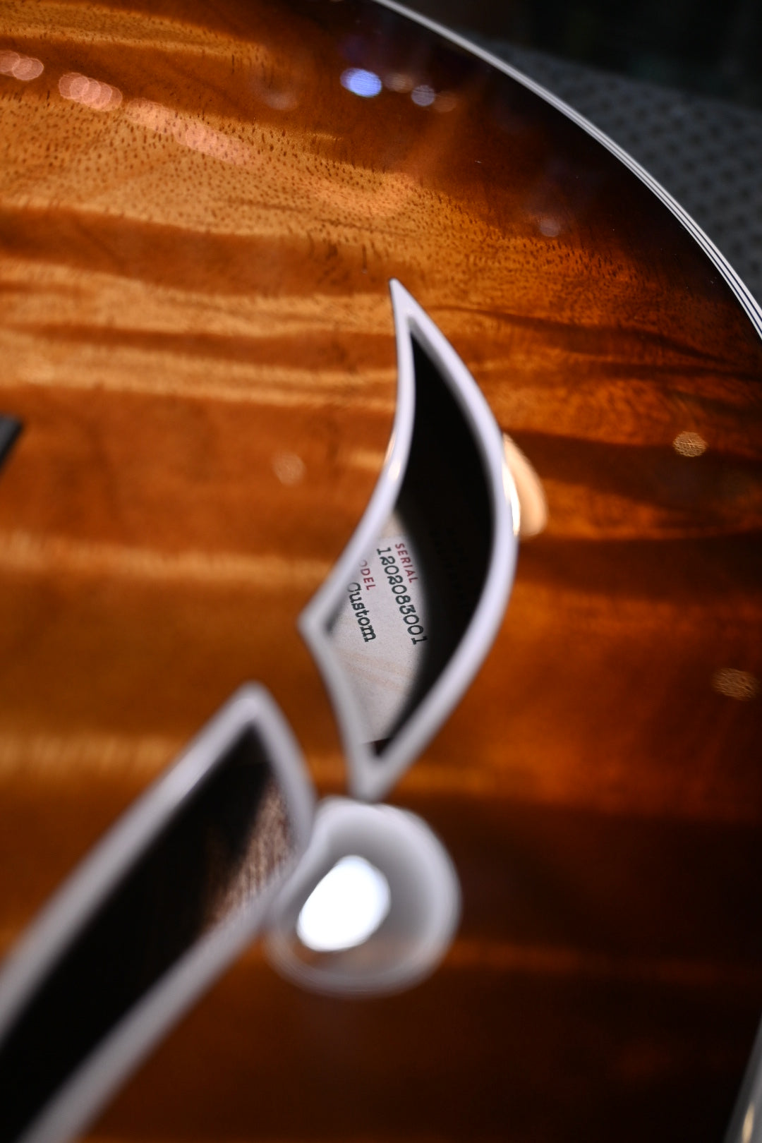 Taylor T5z Custom Koa AA Koa Upgrade #3001 Guitar w/ Taylor buy one get a GS Mini for $199 Promo! - Danville Music