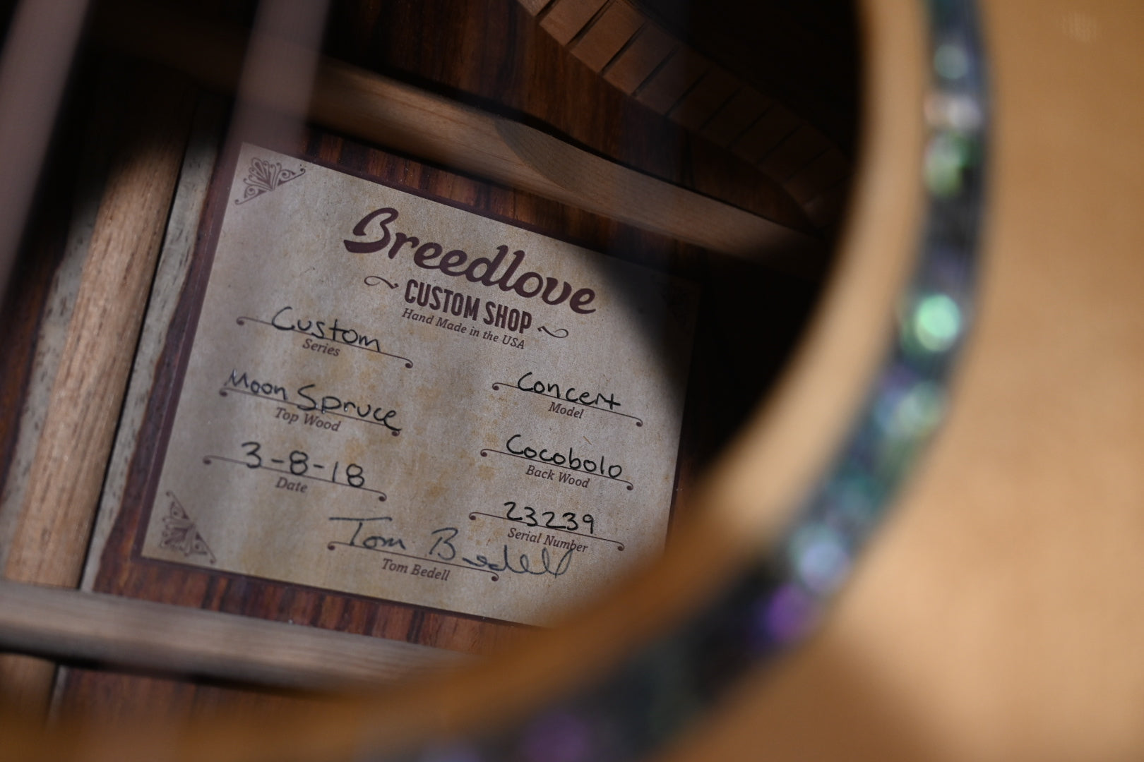 Breedlove Custom Concert Moon Spruce/Cocobolo Guitar #3239 - Danville Music