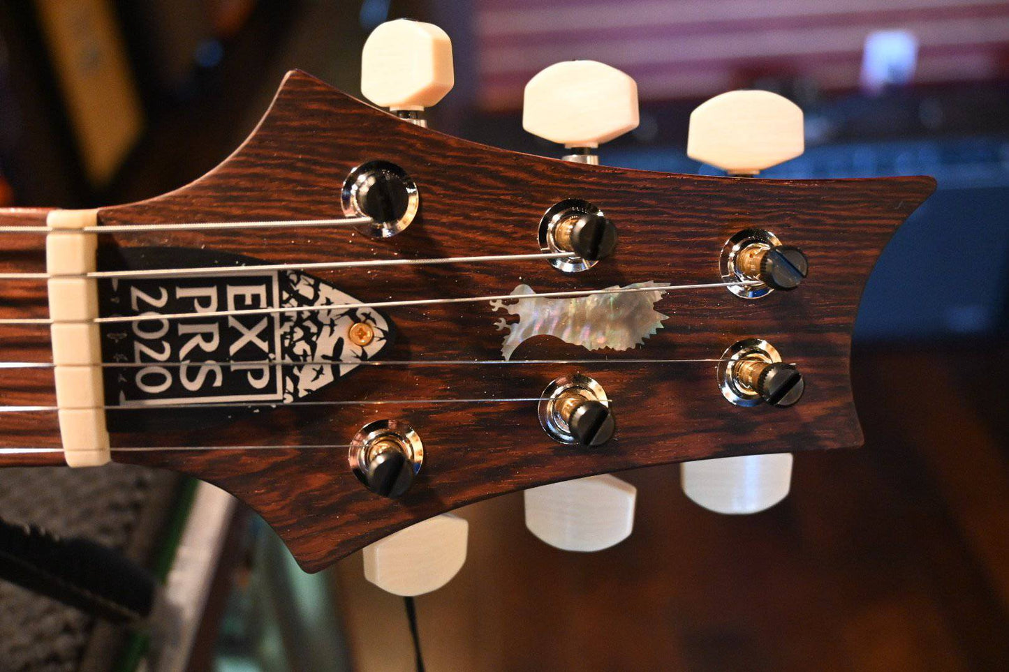 PRS Paul Reed Smith Experience 2020 Modern Eagle V LTD - Skittles Fade #2221 - Danville Music