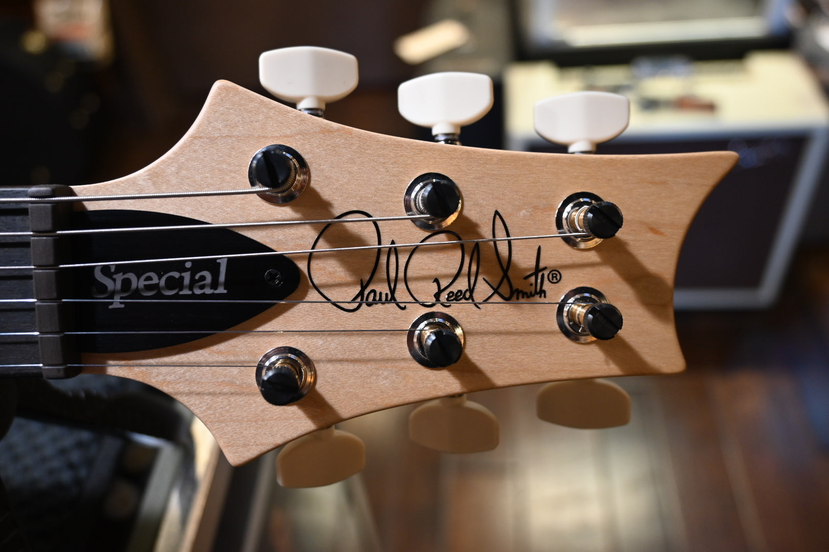 PRS Wood Library Swamp Ash Special - White Doghair Guitar #7356 - Danville Music