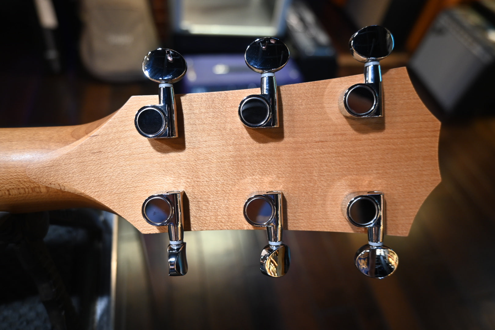 Taylor 24ce Guitar #5358 - Danville Music