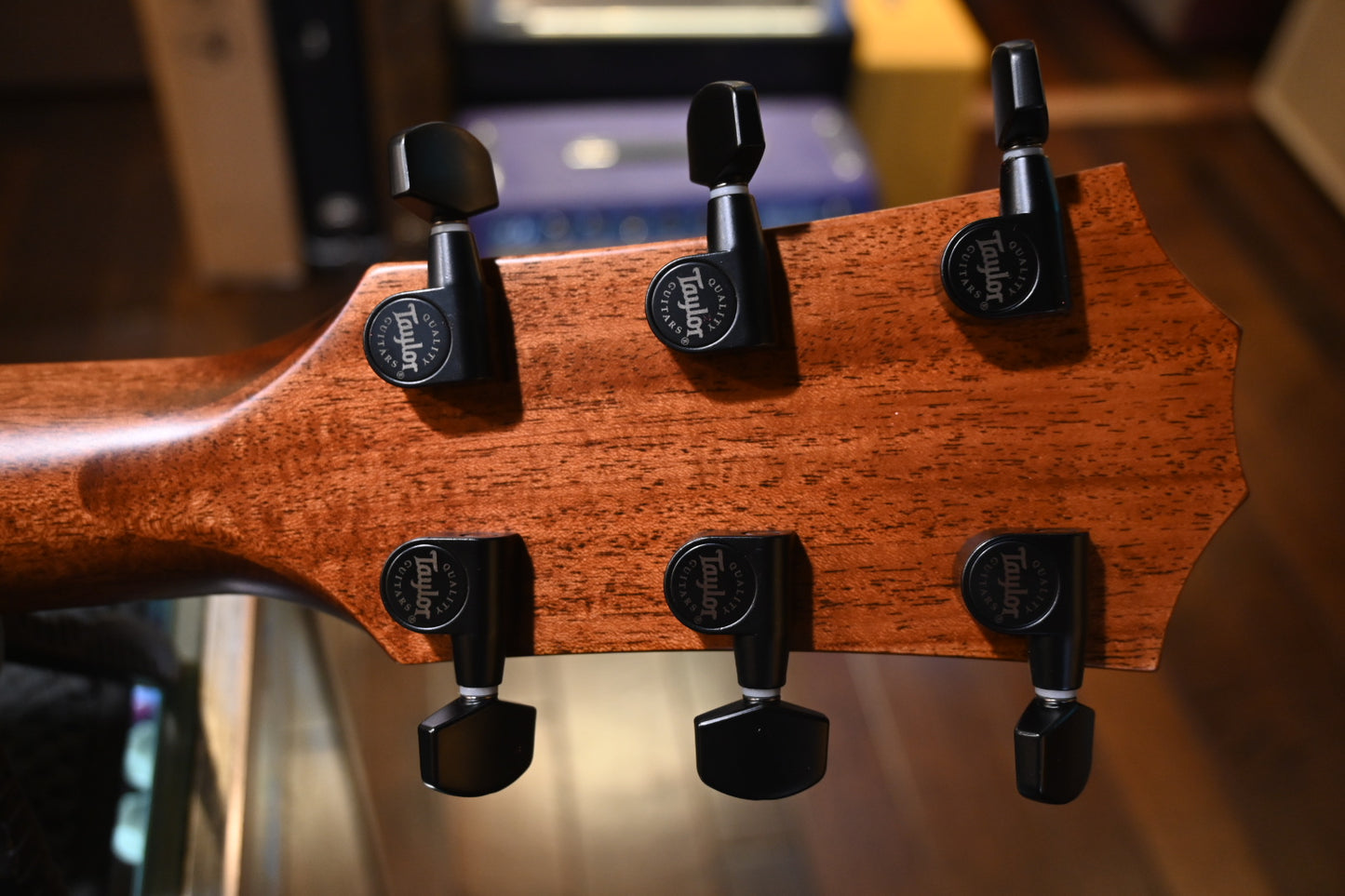Taylor 324ce Guitar #5015 - Danville Music
