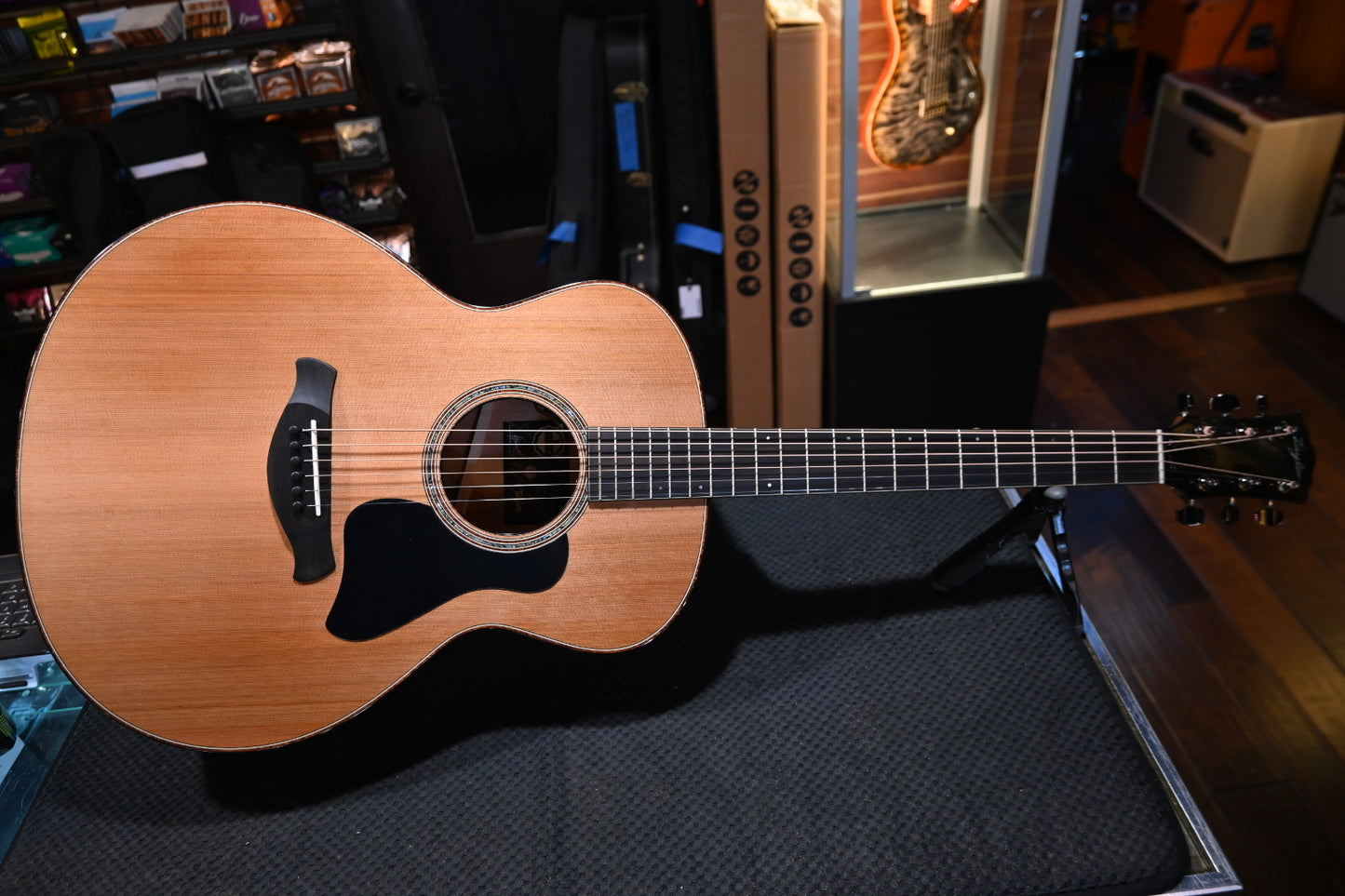 Taylor Custom Gold Label SA Super Auditorium Cedar/Mahogany Guitar #6097