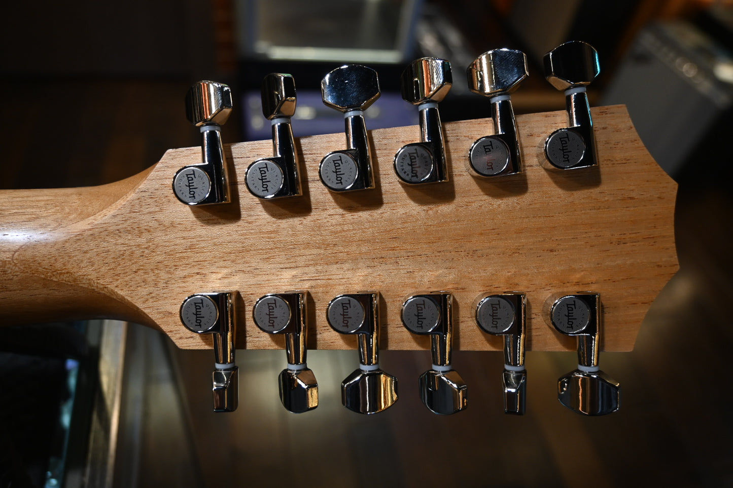 Taylor 254ce 12-String Guitar #5458 - Danville Music