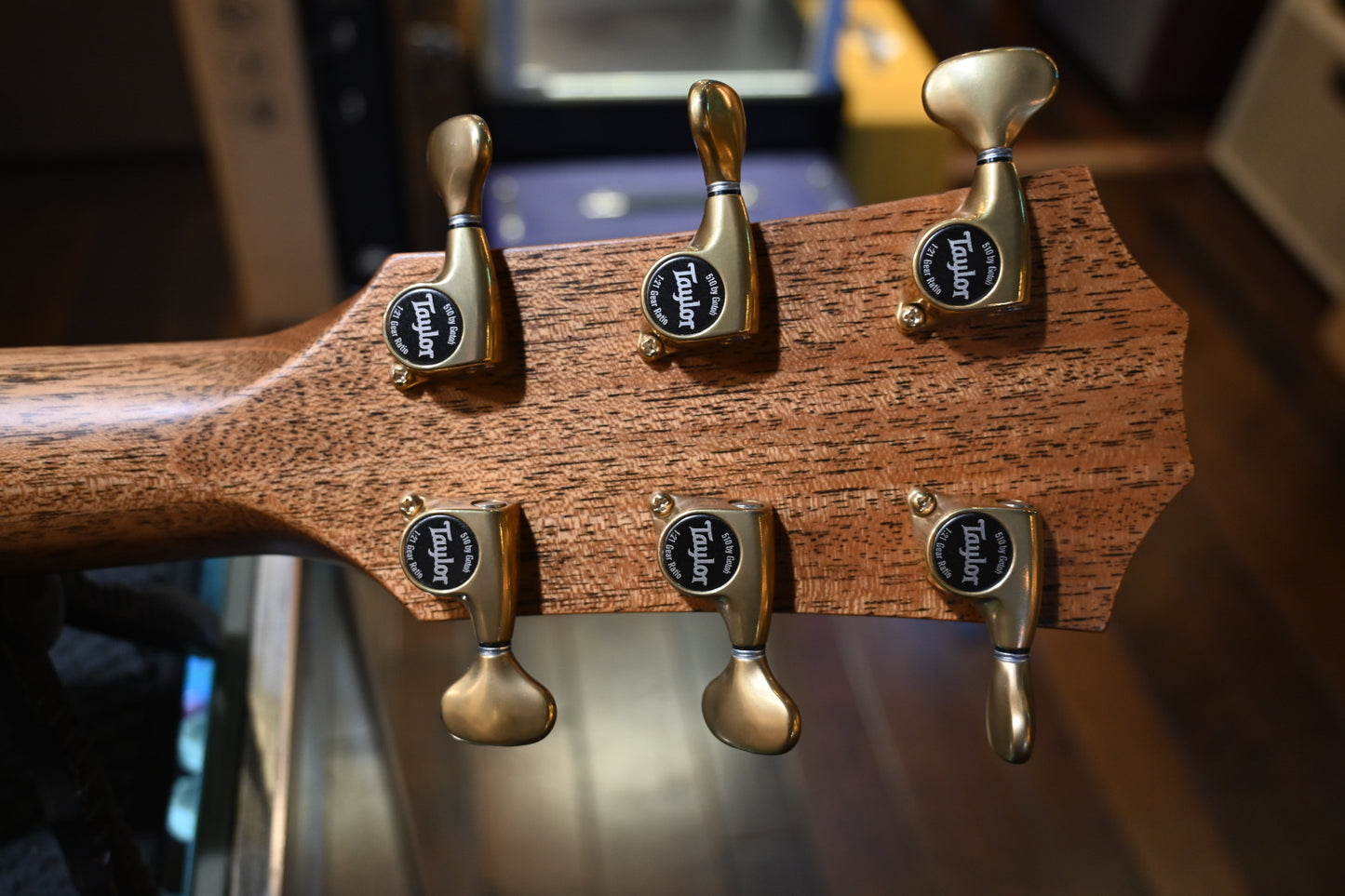 Taylor Custom Builder’s Edition GA Torrefied Spruce/AA Walnut Guitar #5081