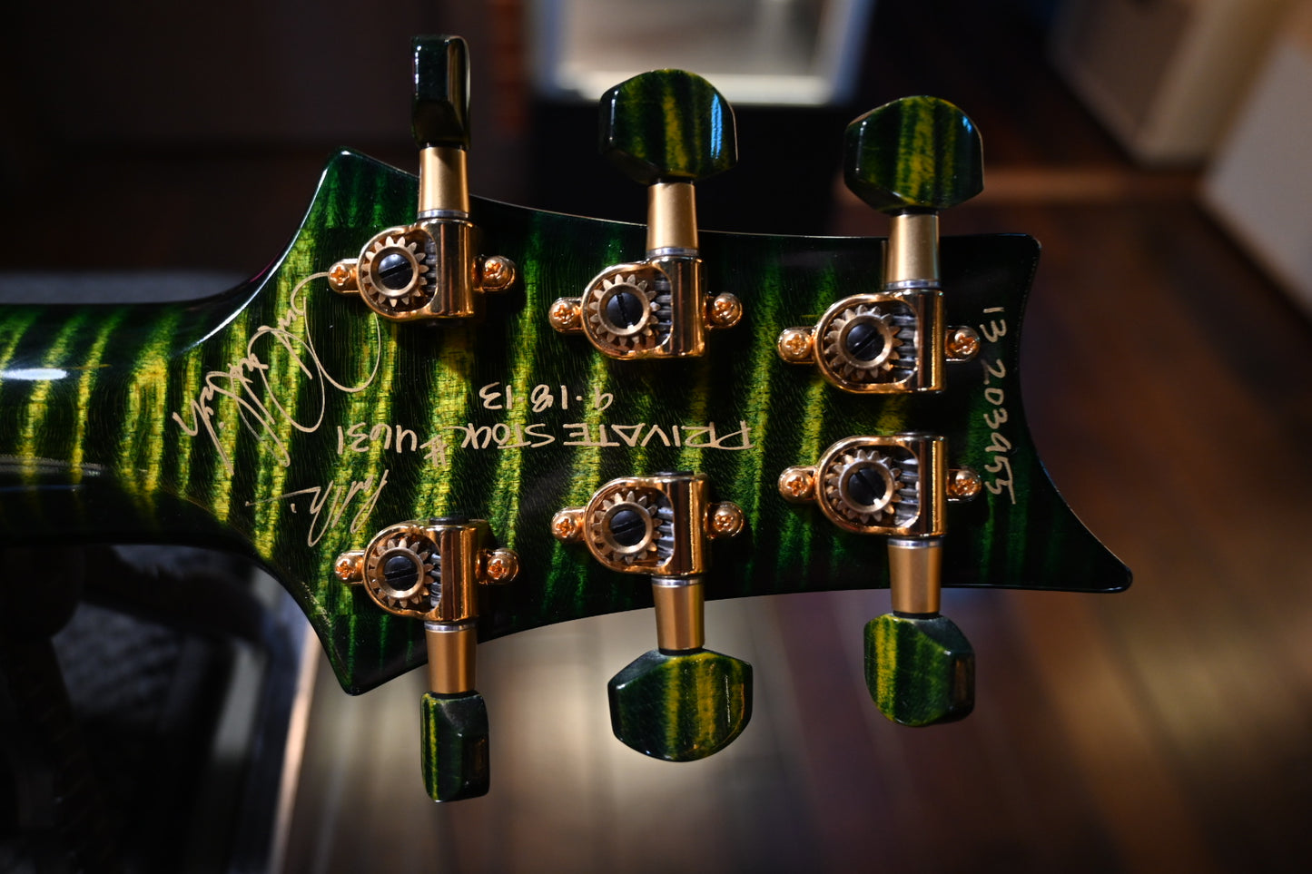 PRS Private Stock Custom 22 Piezo 2013 - Rainforest Guitar #4631