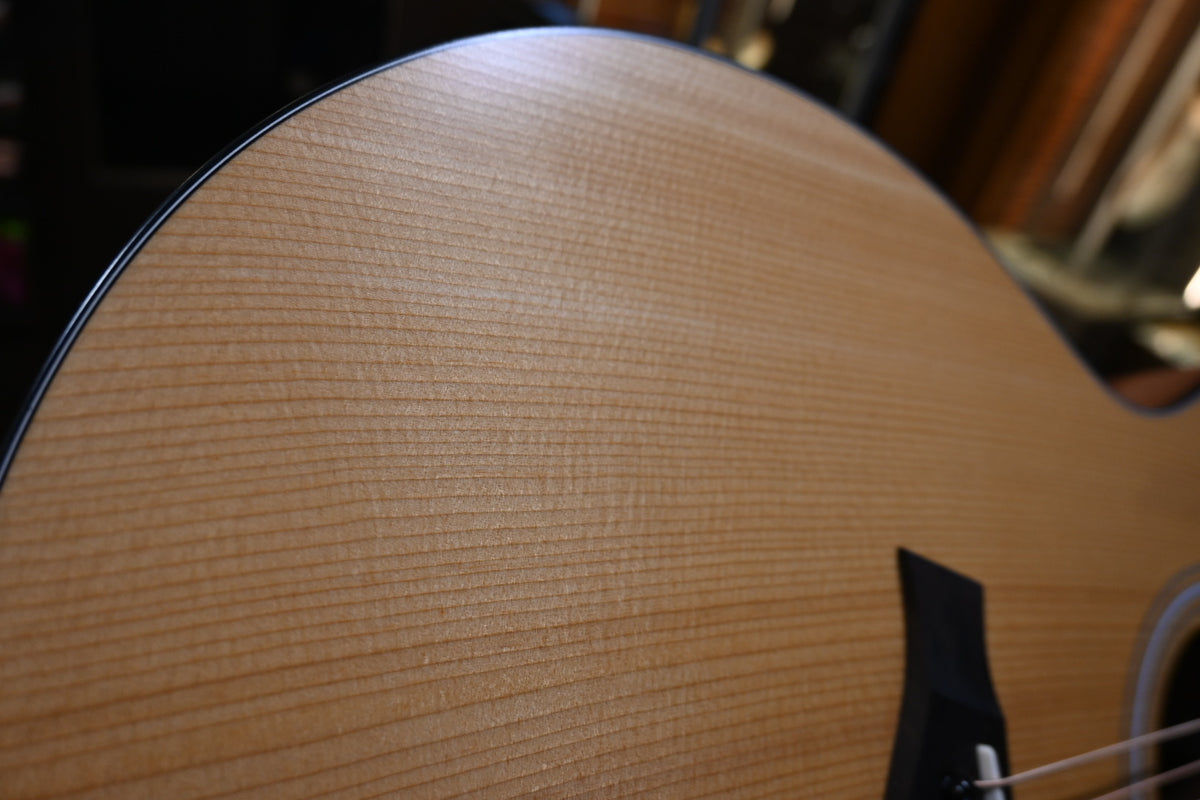 Taylor 114ce Guitar #6229