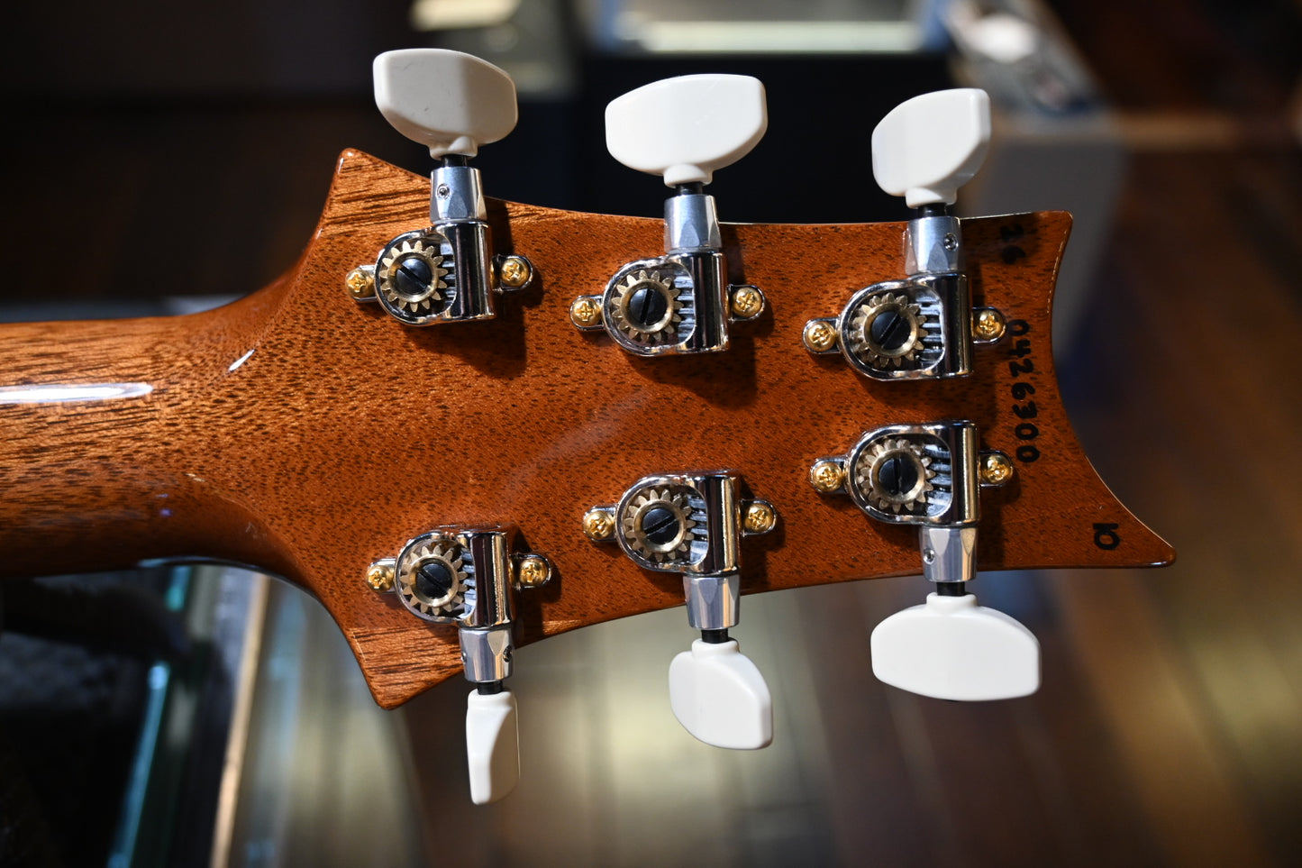 PRS Custom 24 10-Top - Aurora Borealis Guitar #6300 - Danville Music