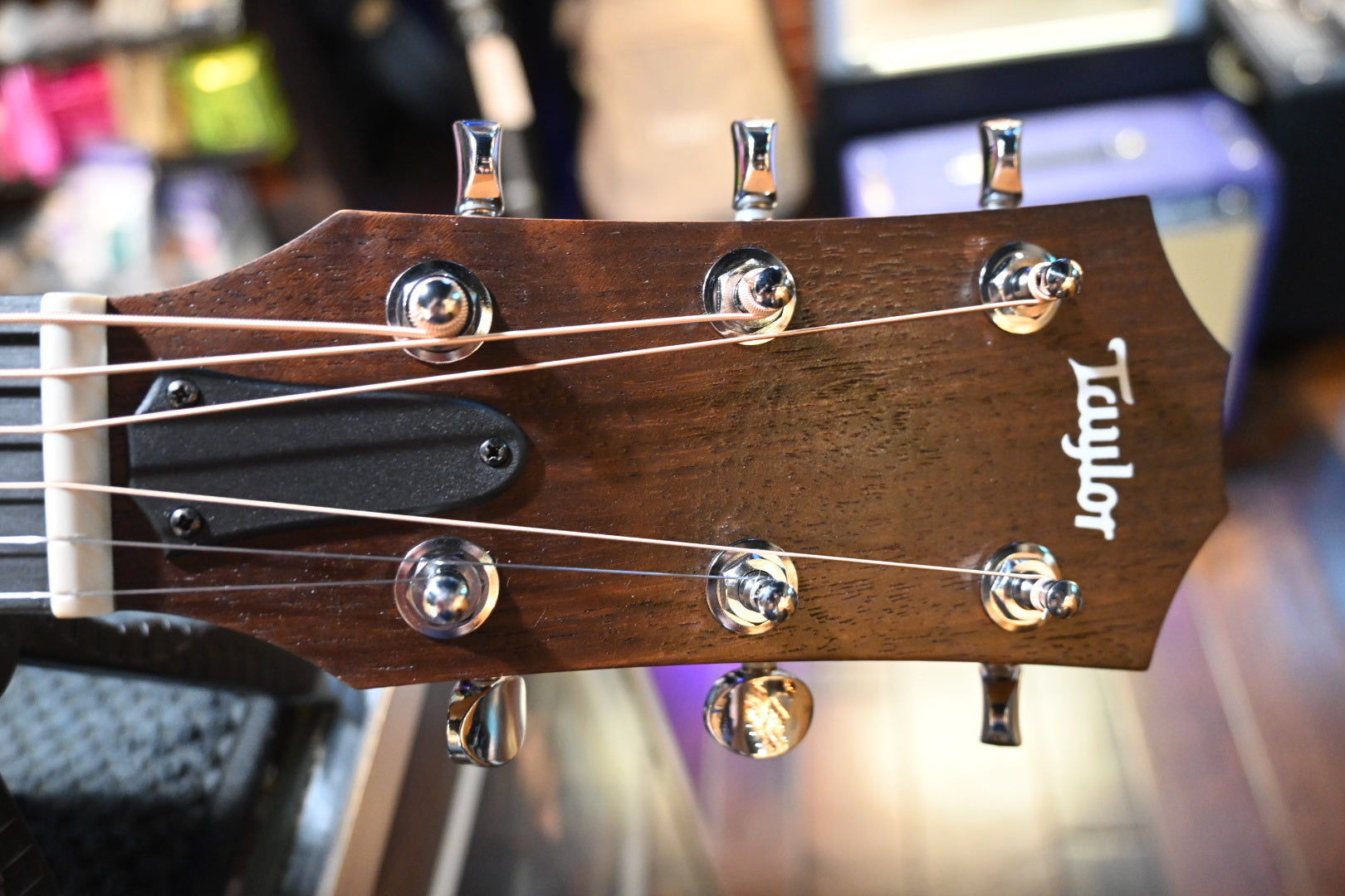 Taylor 24ce Guitar #5359 - Danville Music