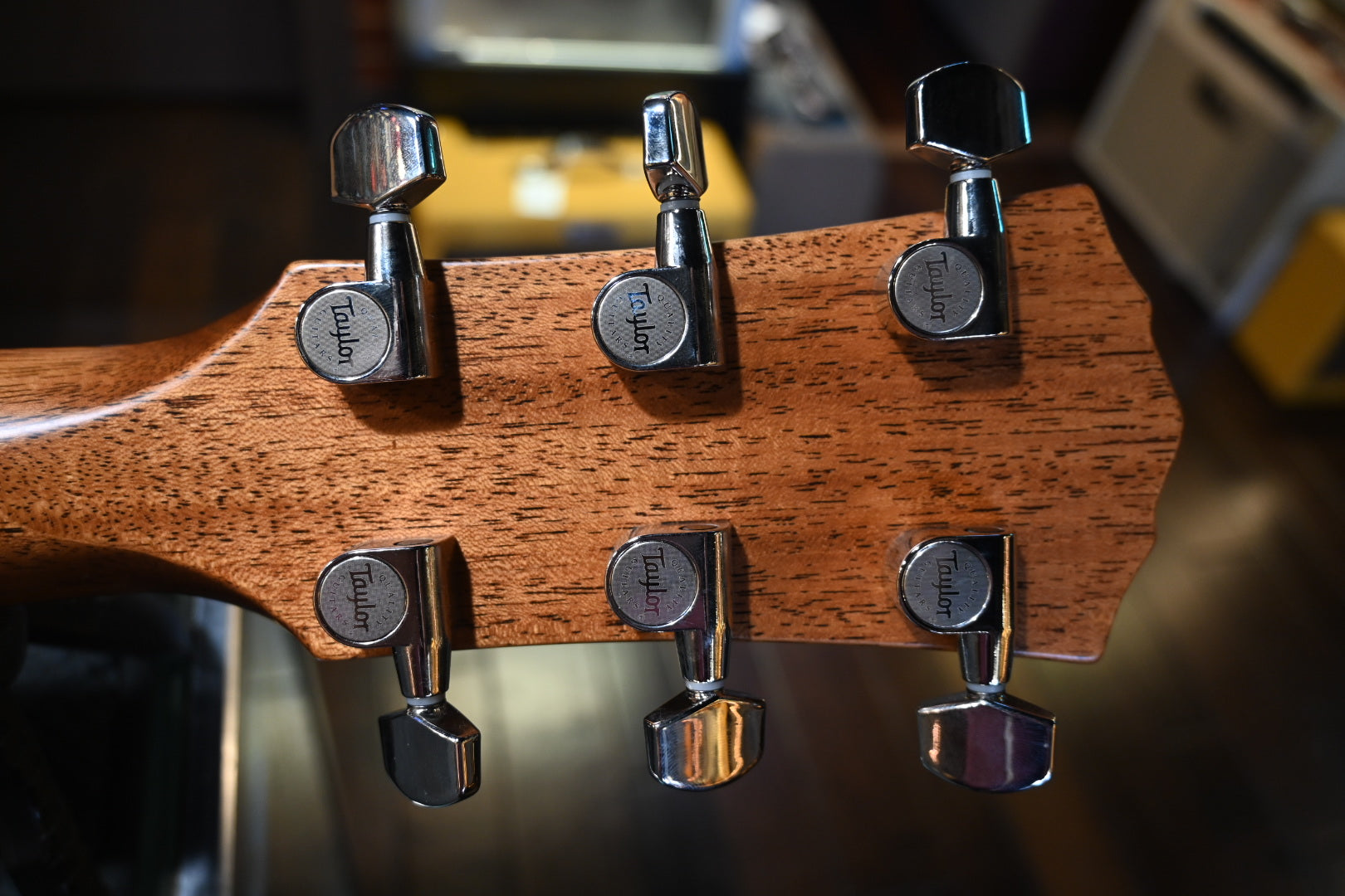 Taylor Gold Label 517e - Sunburst Guitar #5034 - Danville Music