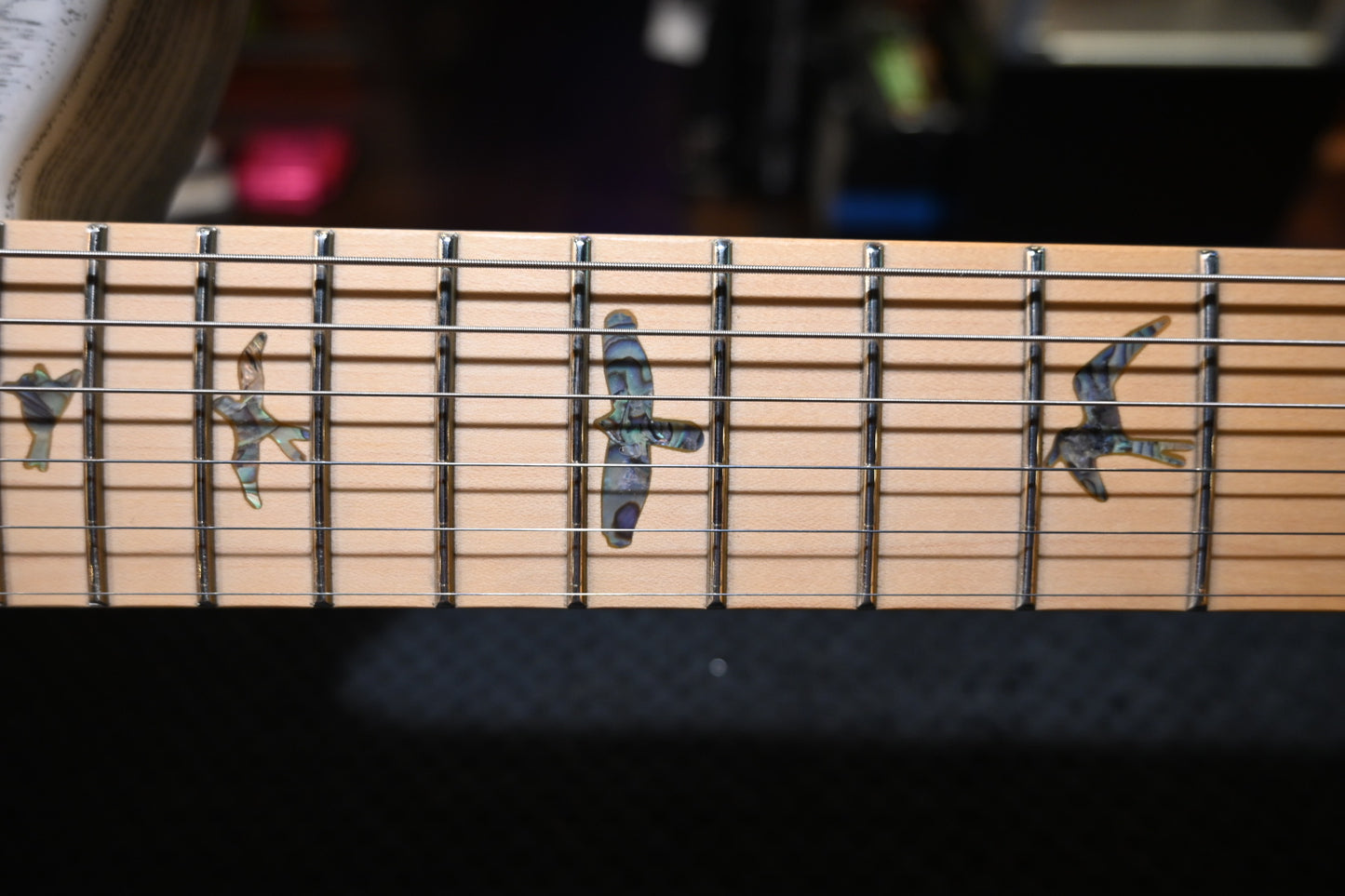 PRS SE NF53 - White Doghair Guitar #2935 - Danville Music