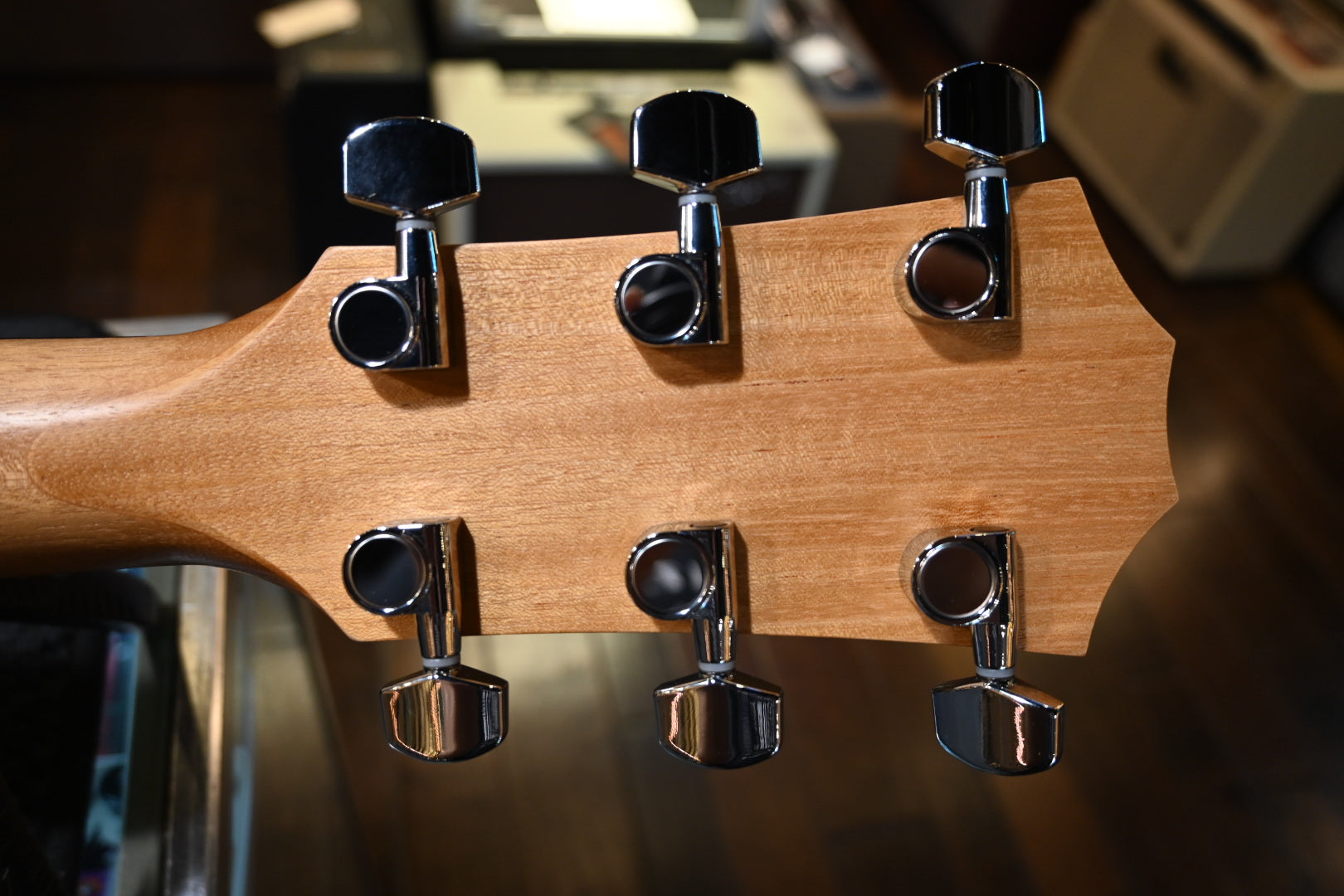 Taylor 214ce Guitar #6543 - Danville Music