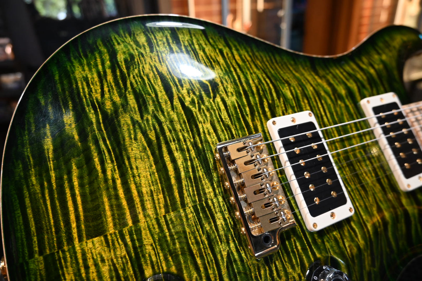 PRS Private Stock Custom 22 Piezo 2013 - Rainforest Guitar #4631