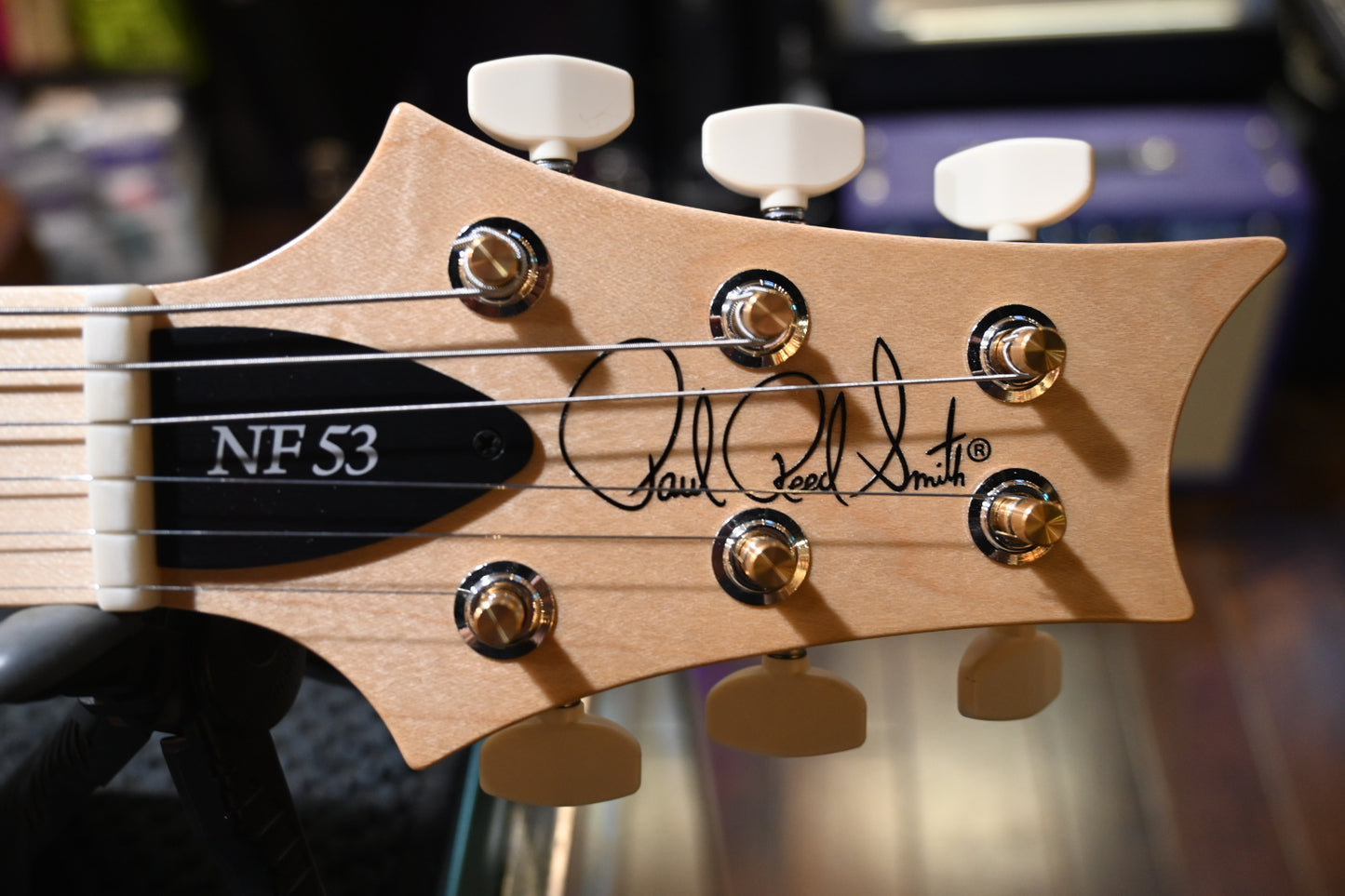PRS NF 53 - White Doghair Guitar #1233 - Danville Music
