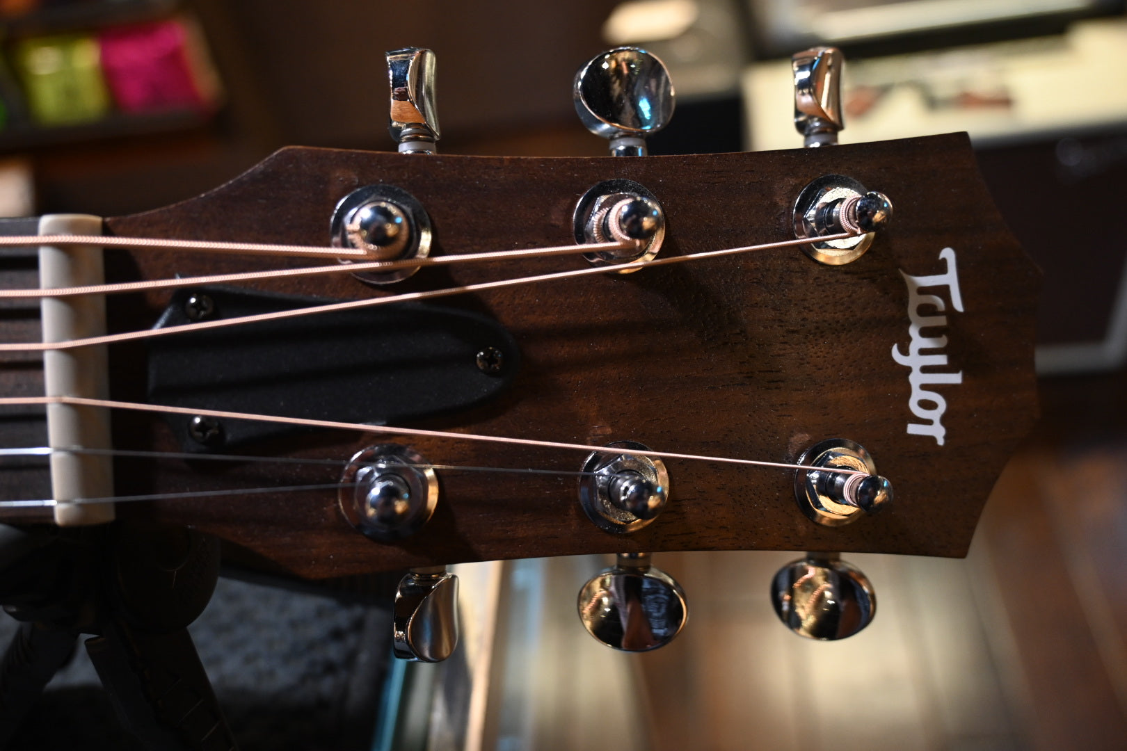 Taylor GS Mini 2024 - Giants Guitar #4305 - Danville Music