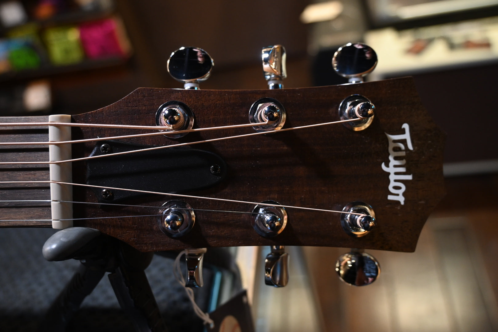 Taylor GS Mini 2024 - Giants Guitar #4256 - Danville Music