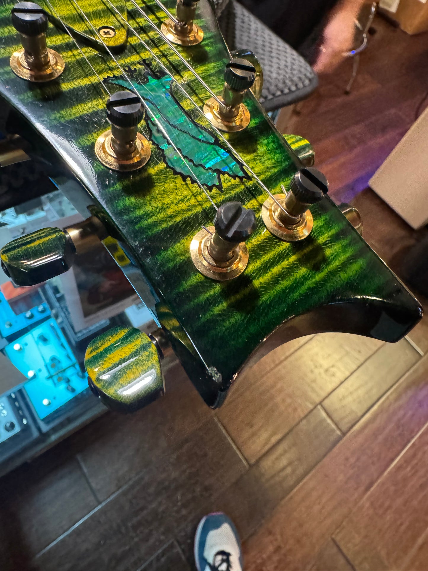PRS Private Stock Custom 22 Piezo 2013 - Rainforest Guitar #4631
