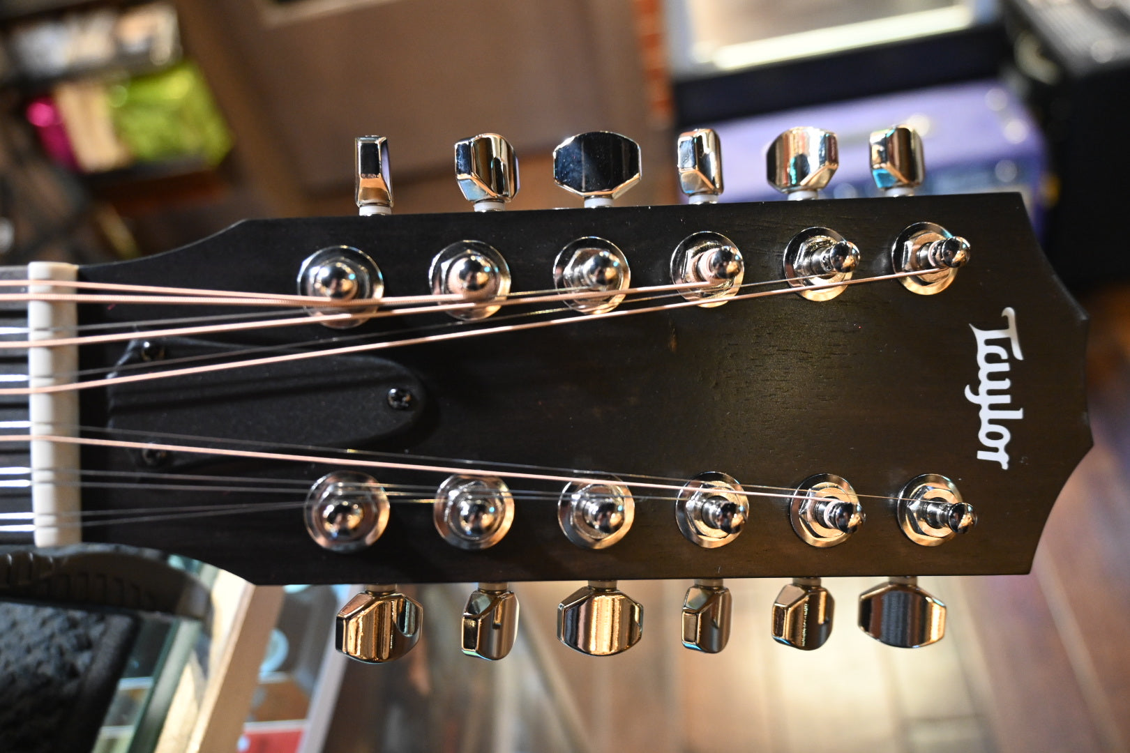 Taylor 254ce 12-String Guitar #5458 - Danville Music