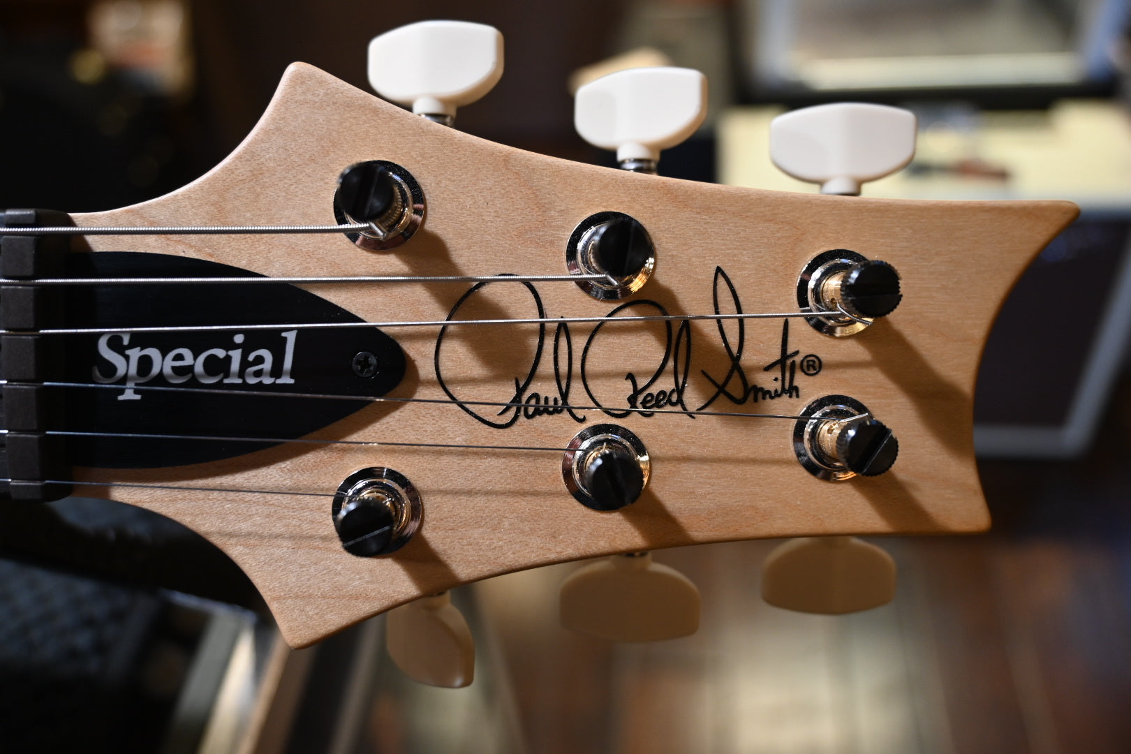 PRS Wood Library Swamp Ash Special - Black Doghair Guitar #7362 - Danville Music