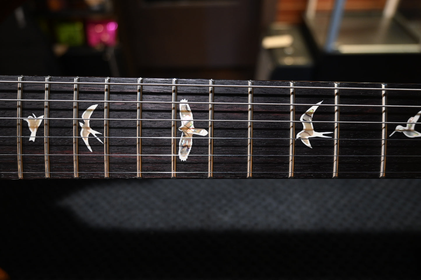 PRS Custom 24 10-Top - Aurora Borealis Guitar #6300 - Danville Music