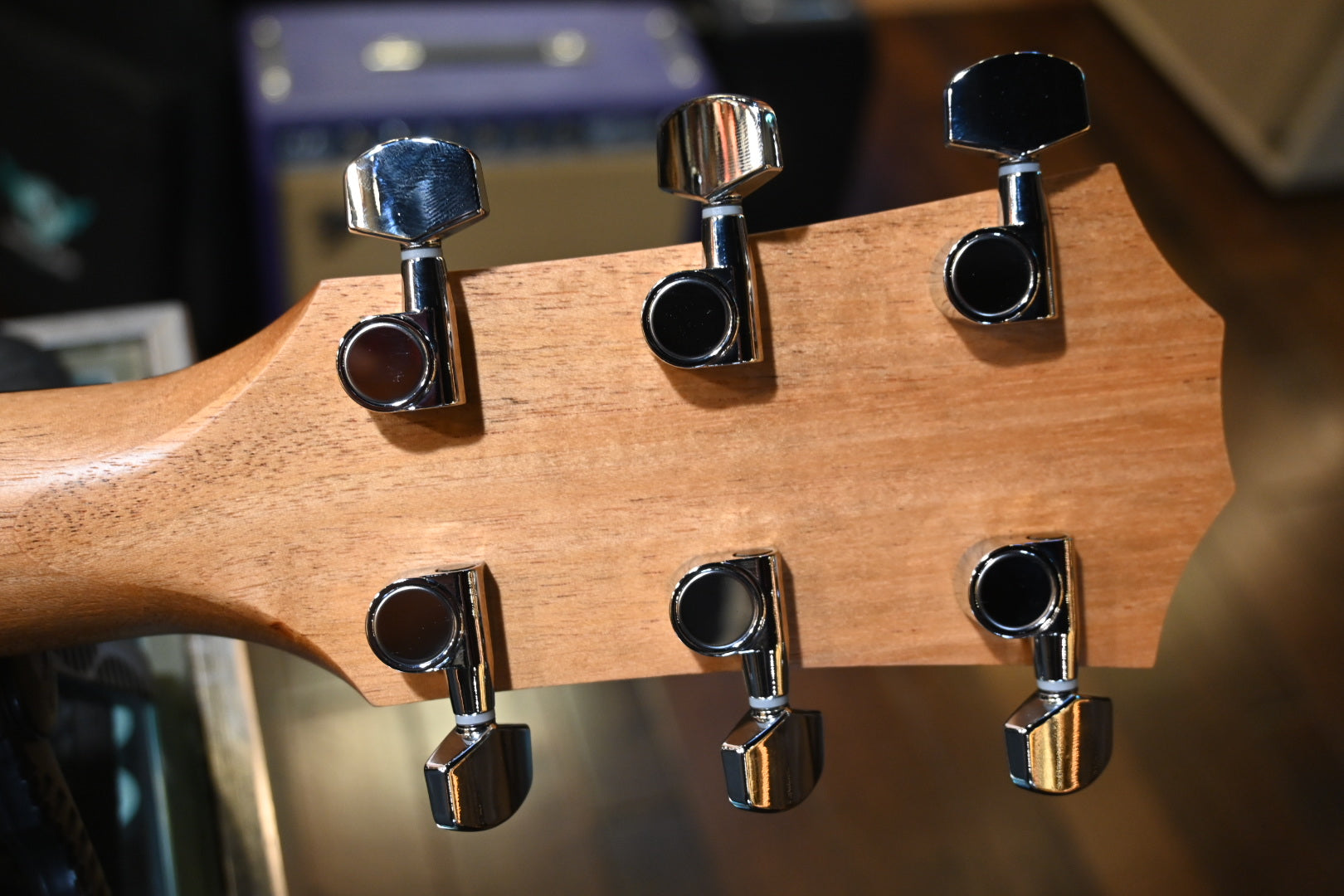 Taylor 214ce Guitar #5356 - Danville Music