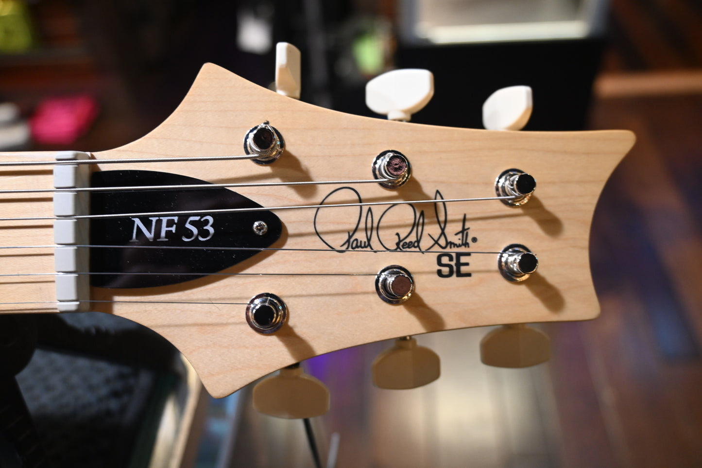 PRS SE NF53 - White Doghair Guitar #2935 - Danville Music