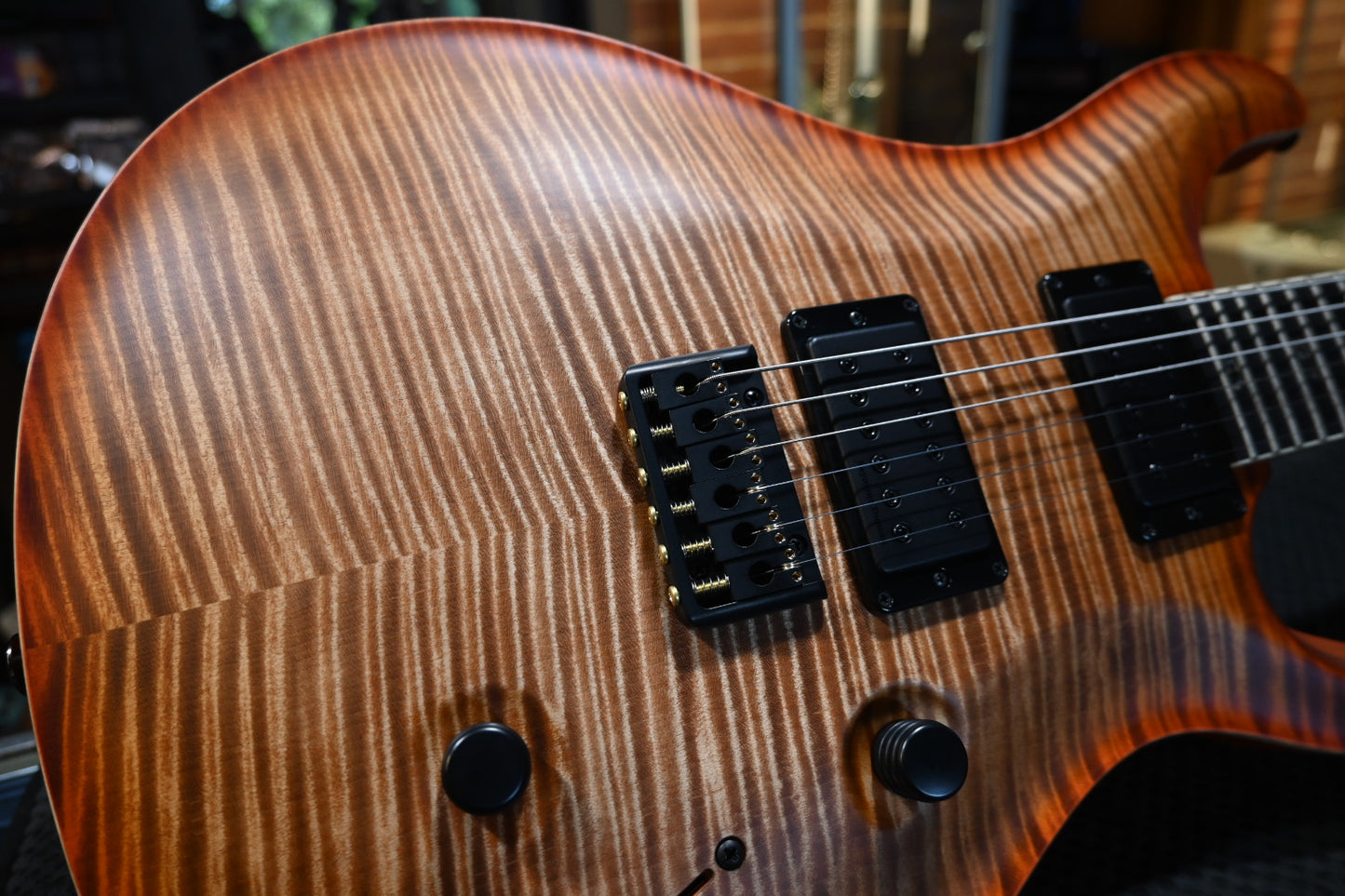 PRS Wood Library Holcomb 10-Top - Autumn Sky Satin Guitar #0437