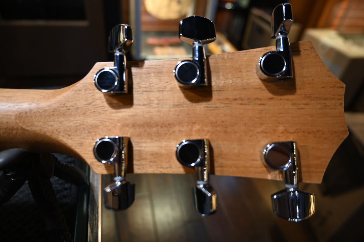 Taylor 114ce Guitar #6229