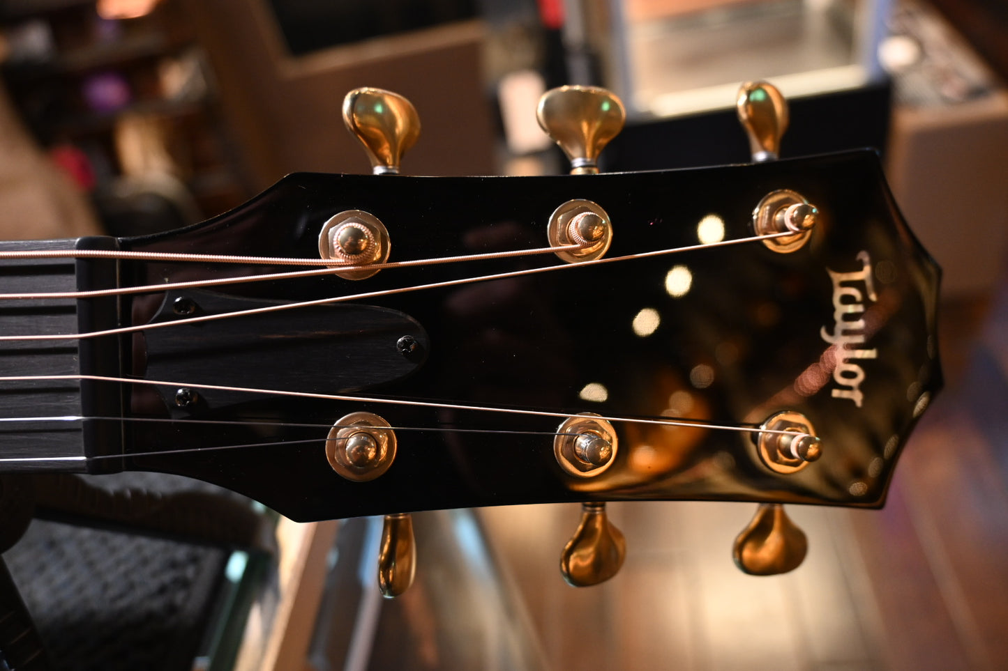 Taylor Custom GA Builder’s Edition Torrefied Spruce/AA Walnut - British Racing Green Metallic Guitar #5084 - Danville Music